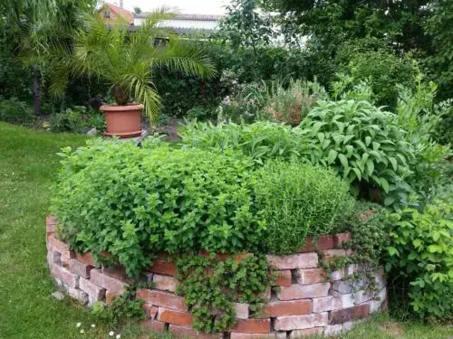 Gartenidylle in Sandau