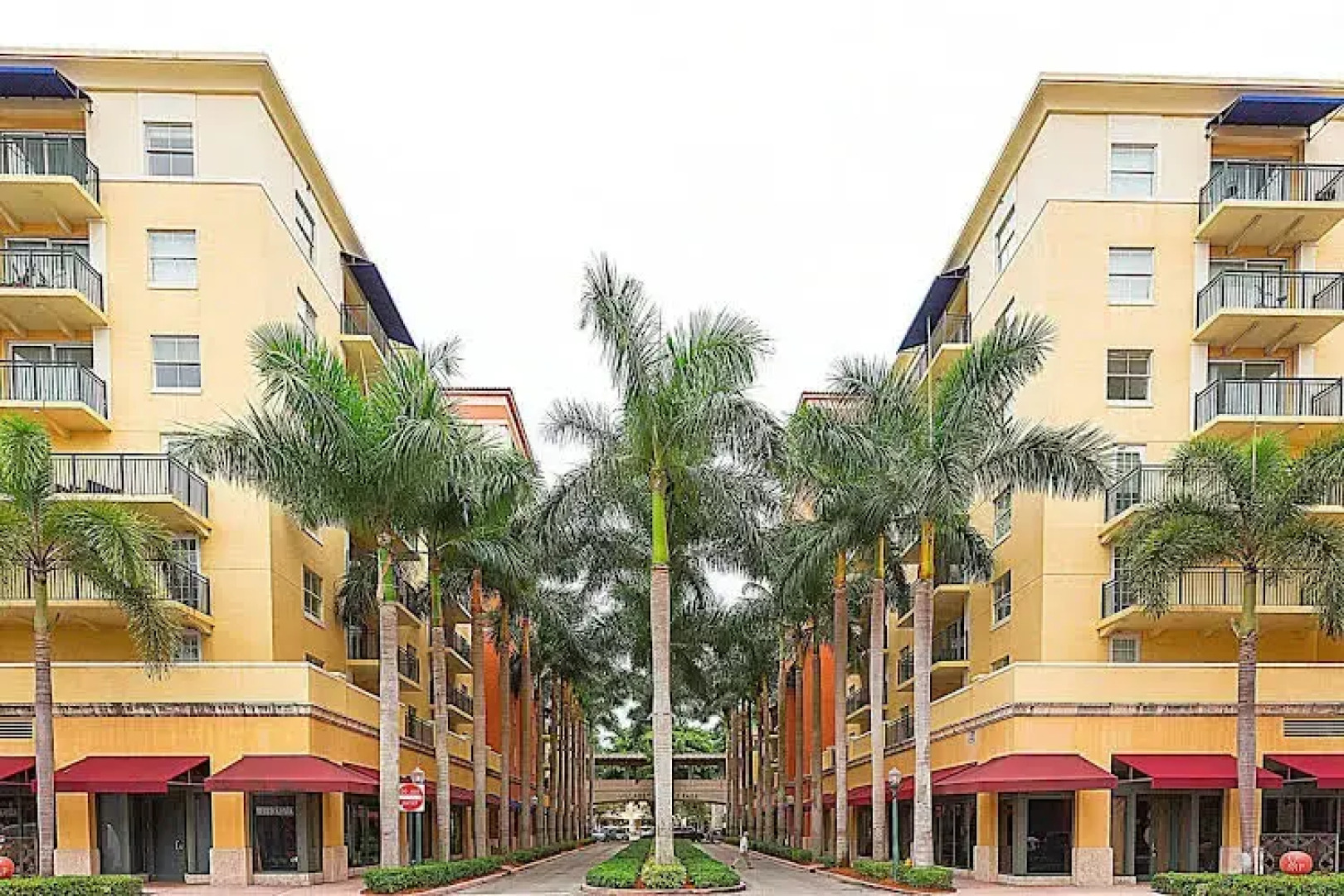 Pelican Residences in Coral Gables