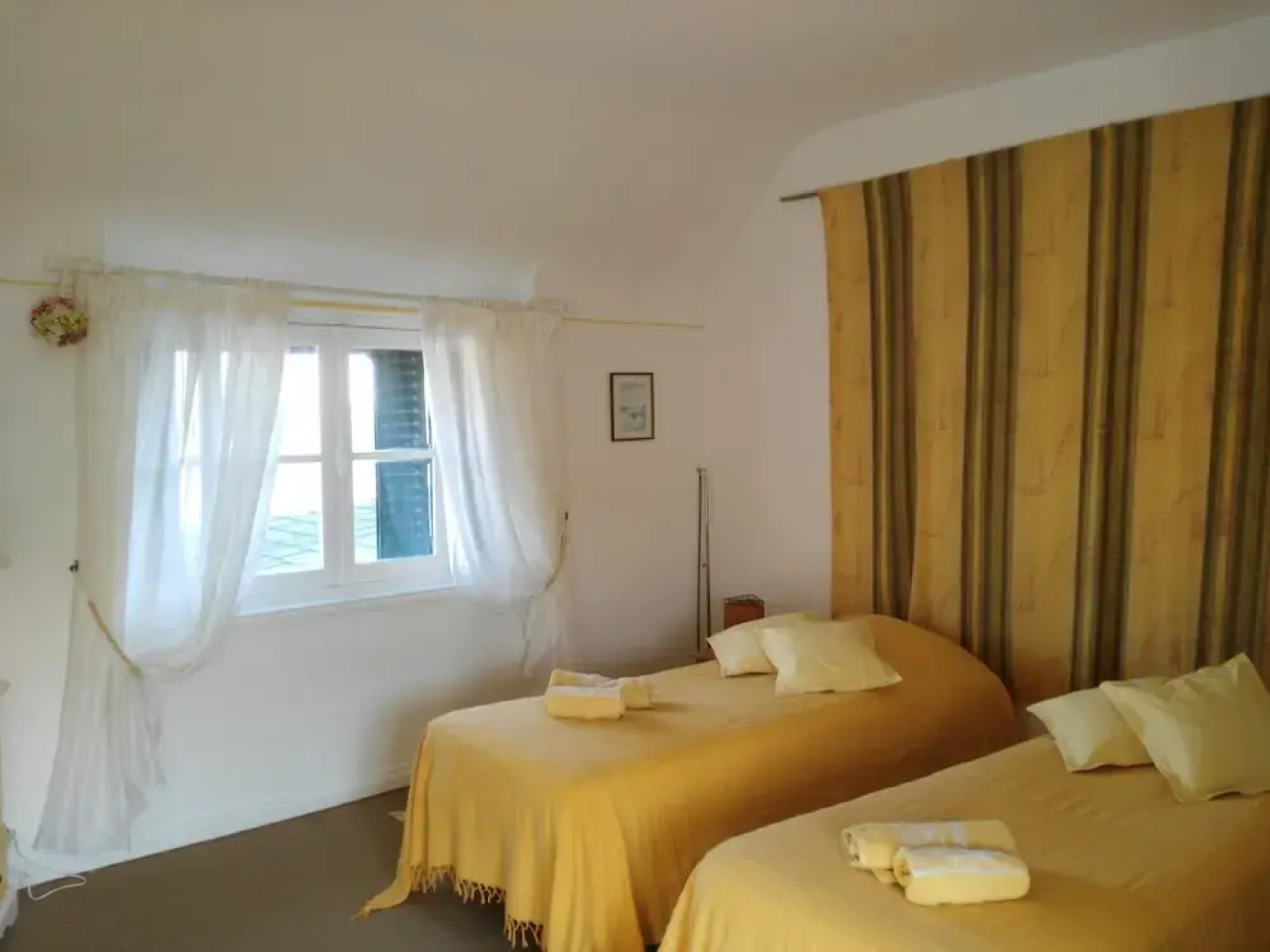 Les Camélias des Demoiselles de Pallus