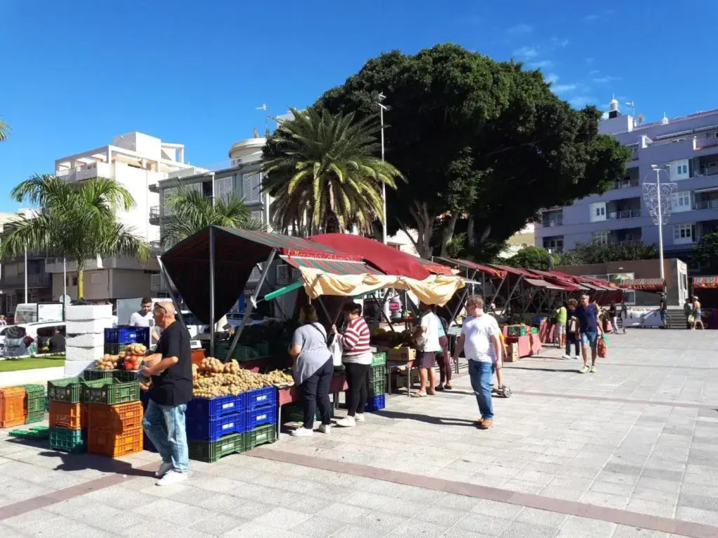 Apartamento Estrella del Mar