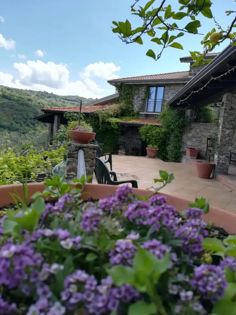 Studio in Ogliastro Cilento, With Wonderful sea View, Enclosed Garden and Wifi Near the Beach