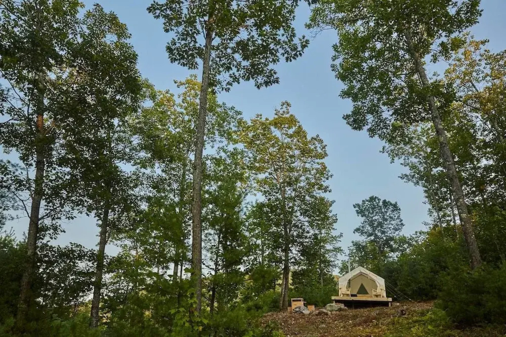 Tentrr - Wayshego on Little Mountain - Campsite