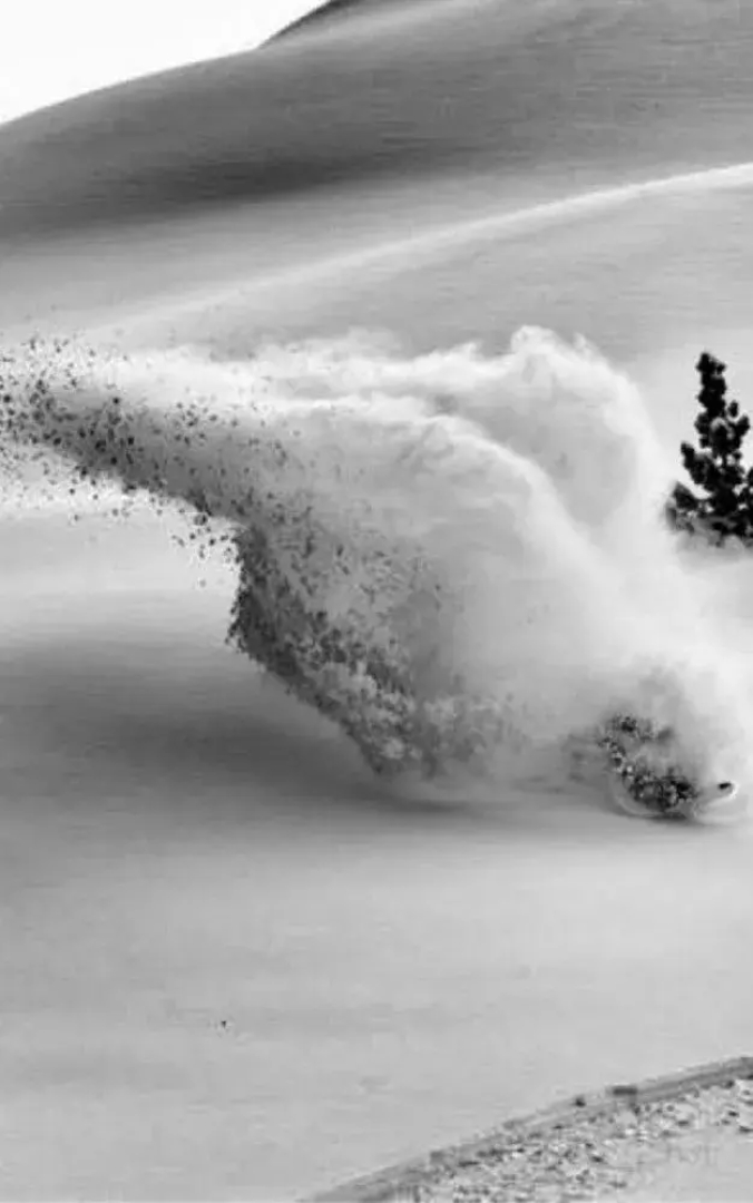 Silverski