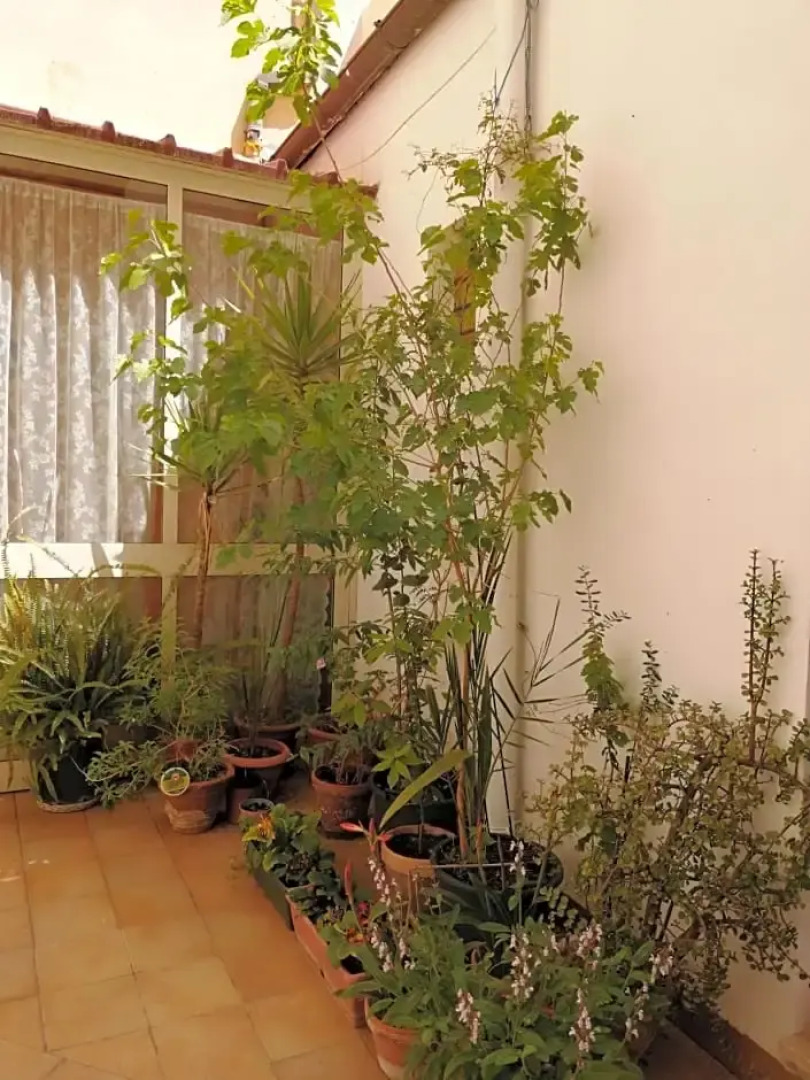 Holiday Home Zolfare