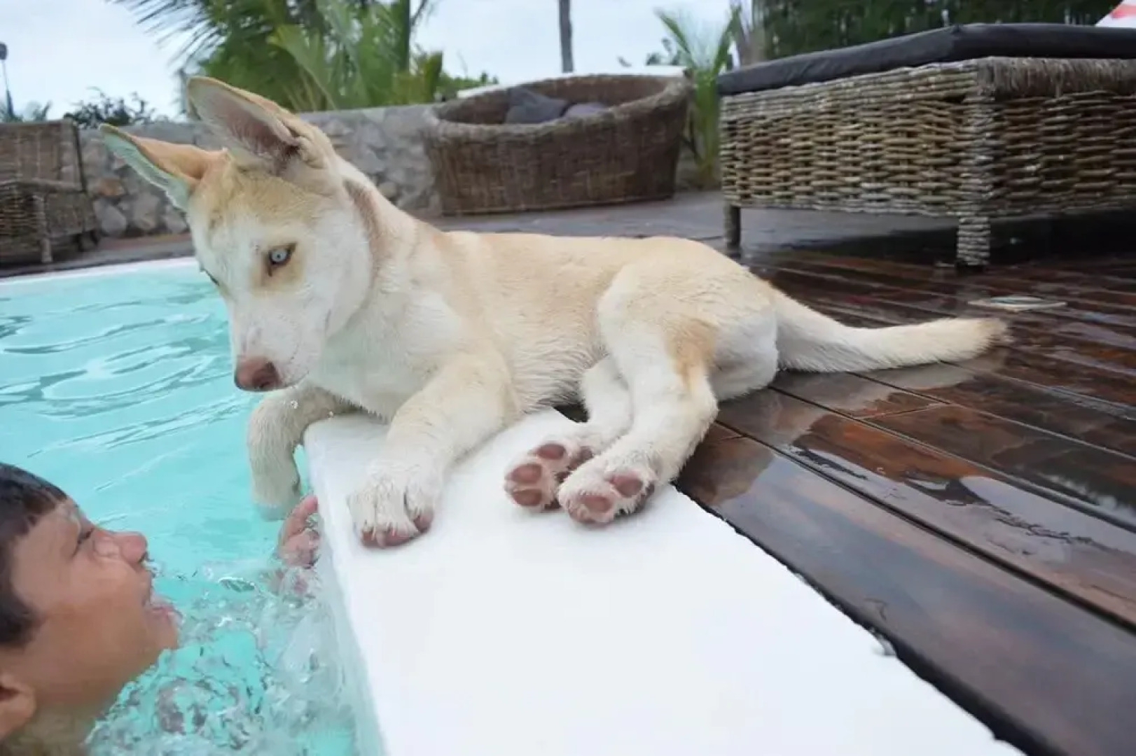 Room in Lodge - Charming Suit Room 5