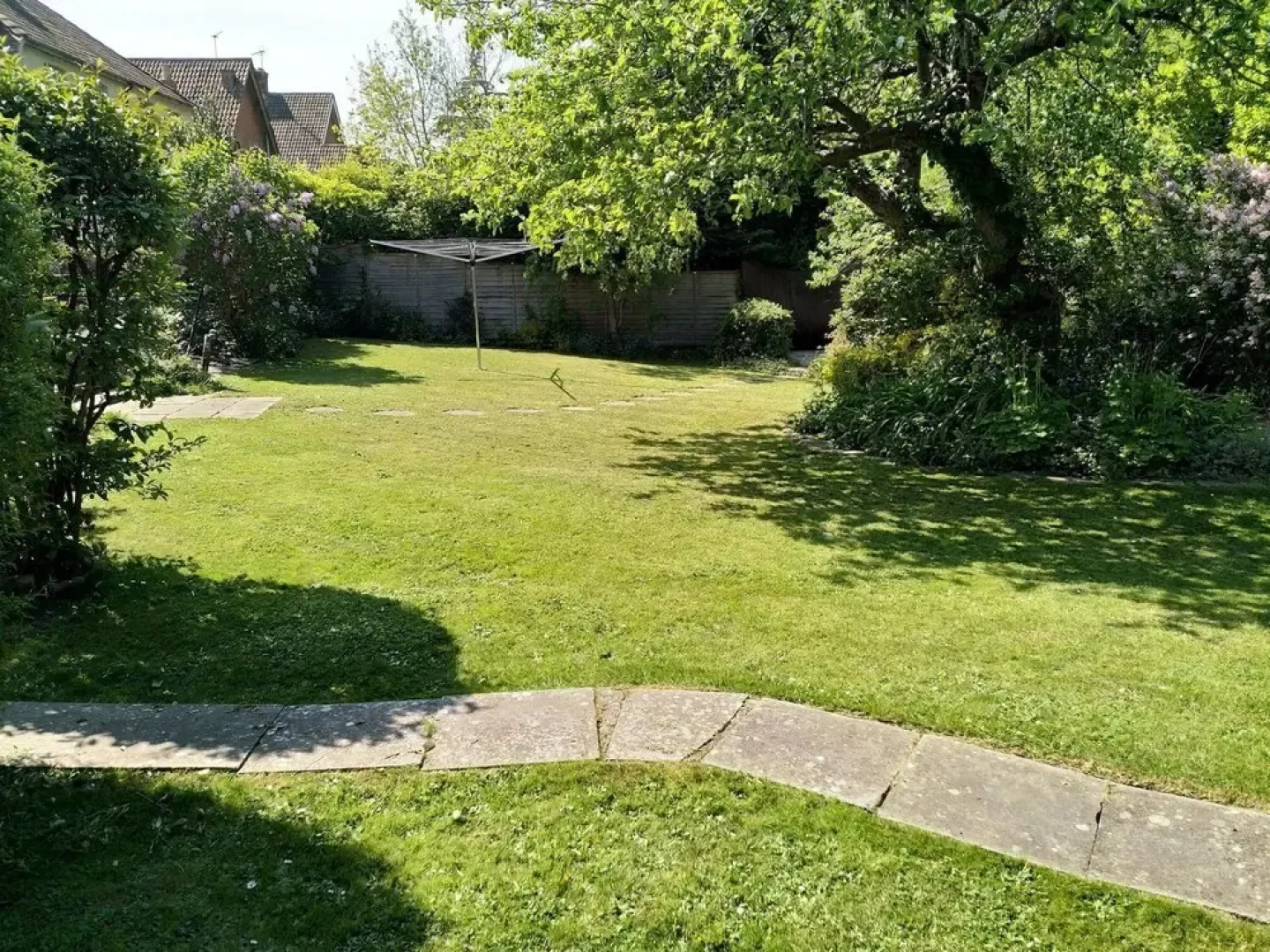 Tree of Life House, Number 27 Bere Lane