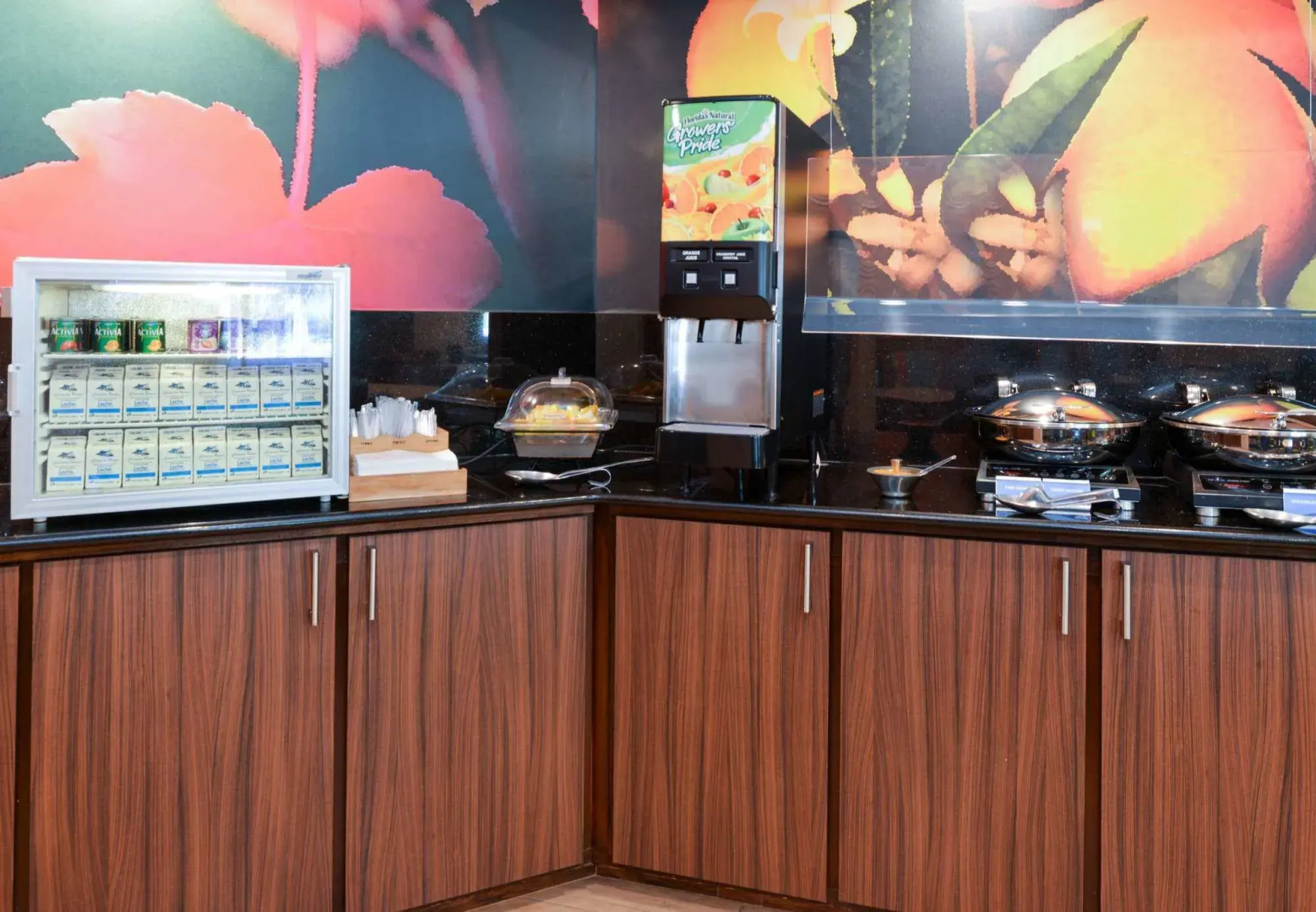 Fairfield Inn by Marriott Jacksonville Orange Park