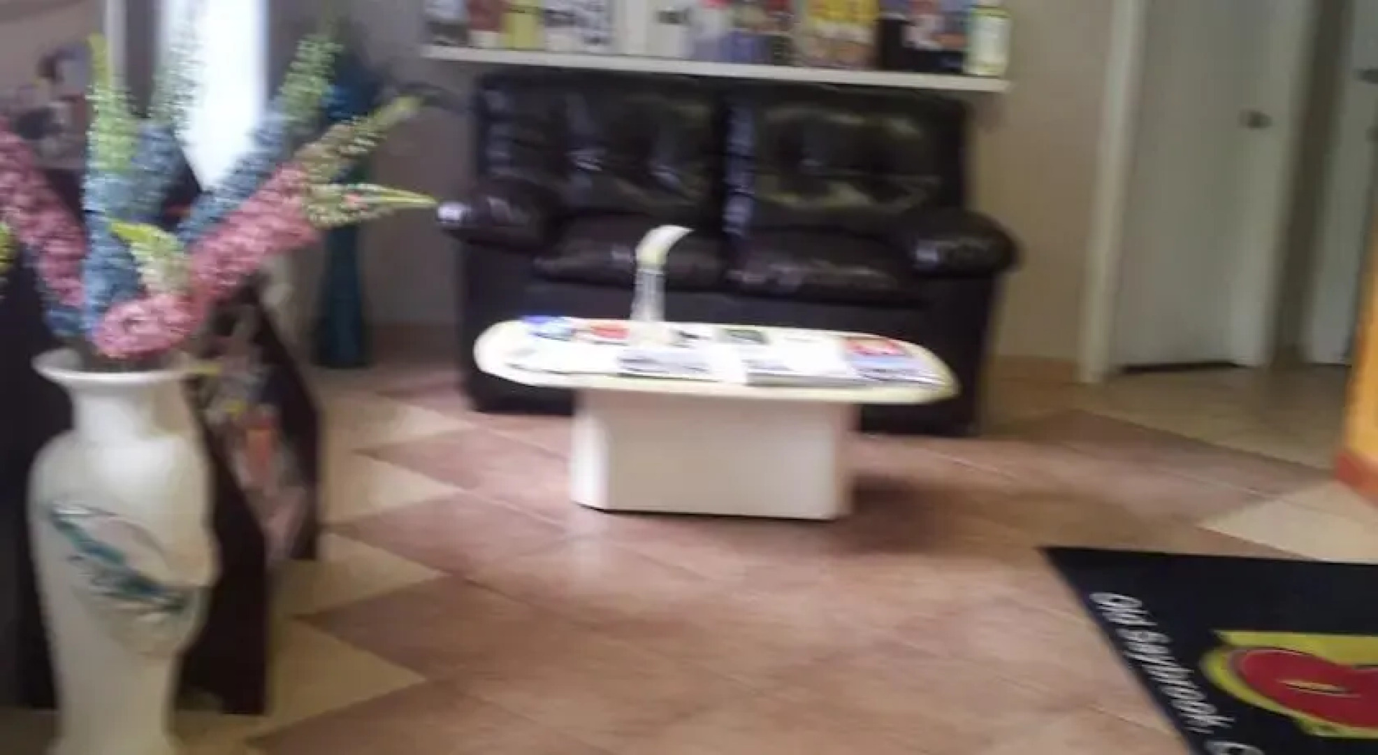 Super 8 Motel Old Saybrook