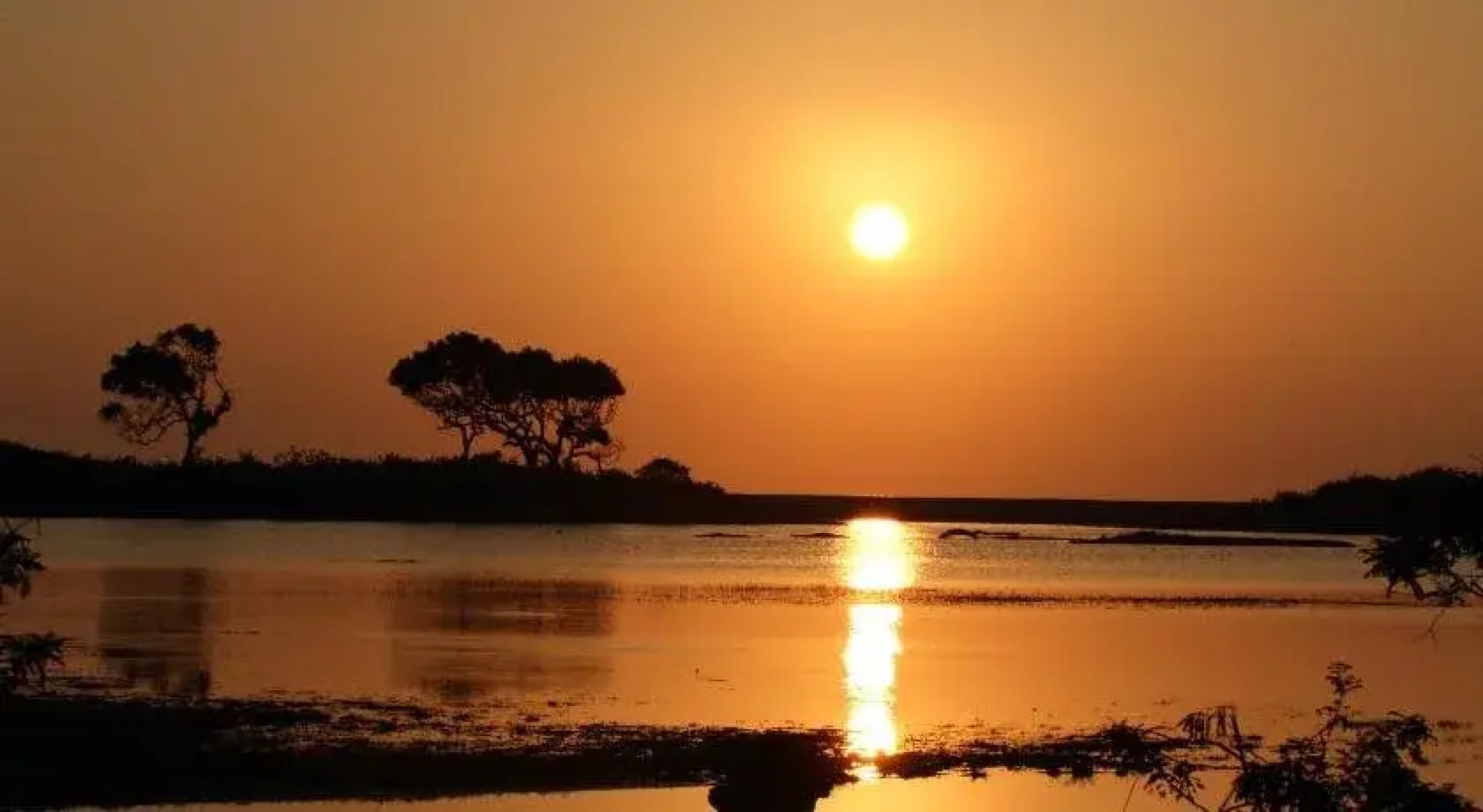 Leopard Corridor Yala