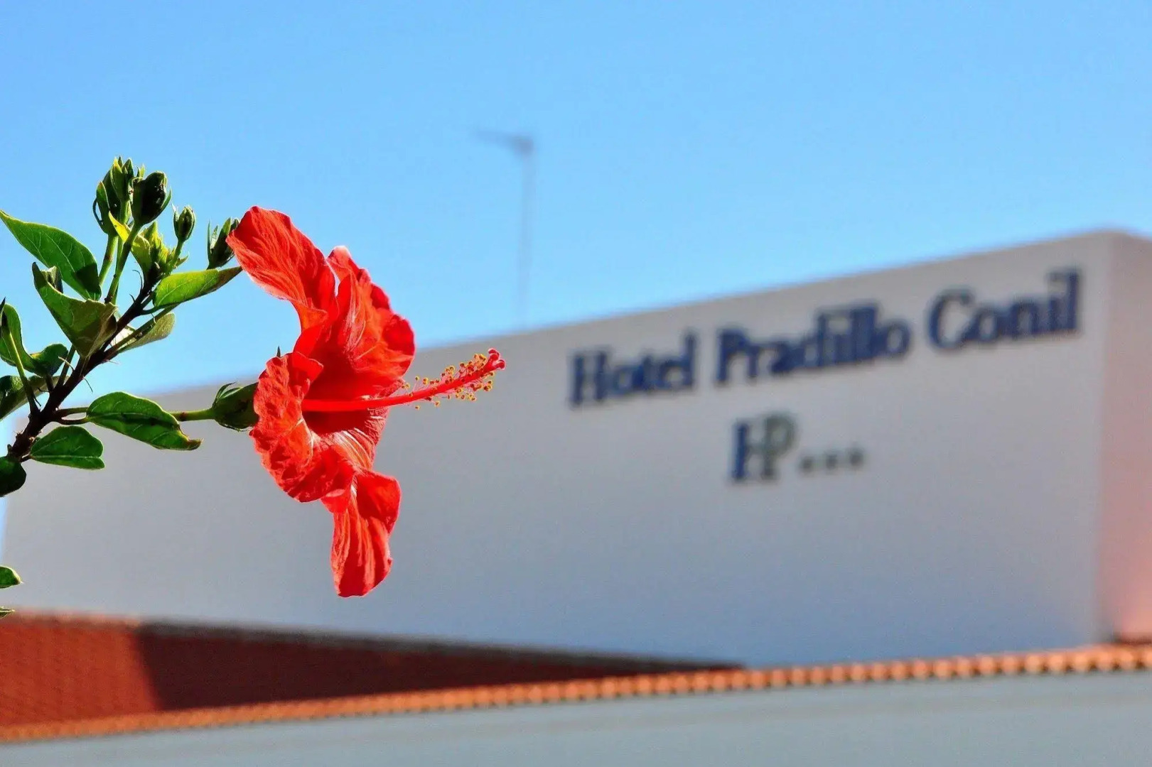 Hotel Pradillo Conil