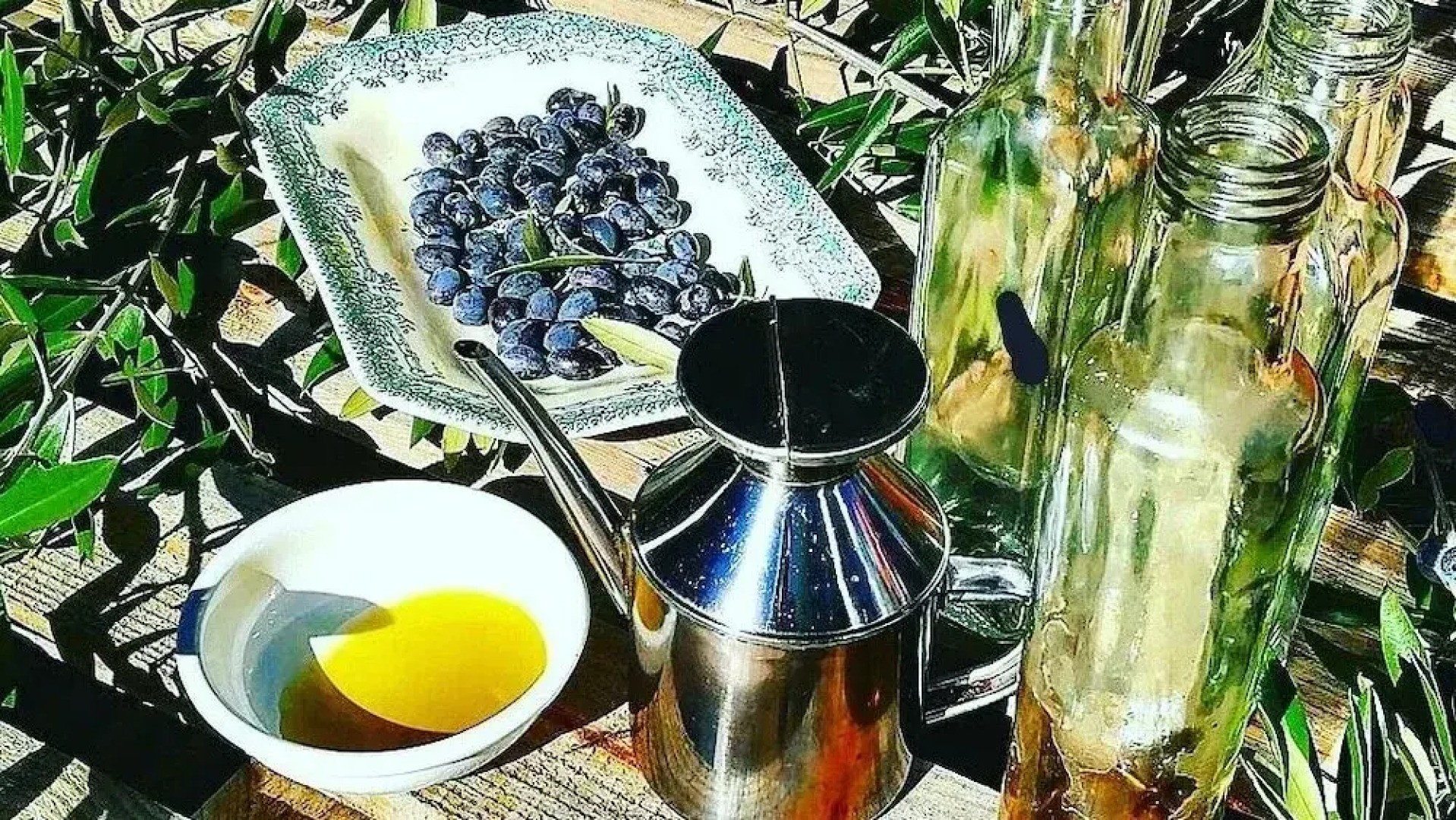 Casa do Fundo - Sustainable & Ecotourism