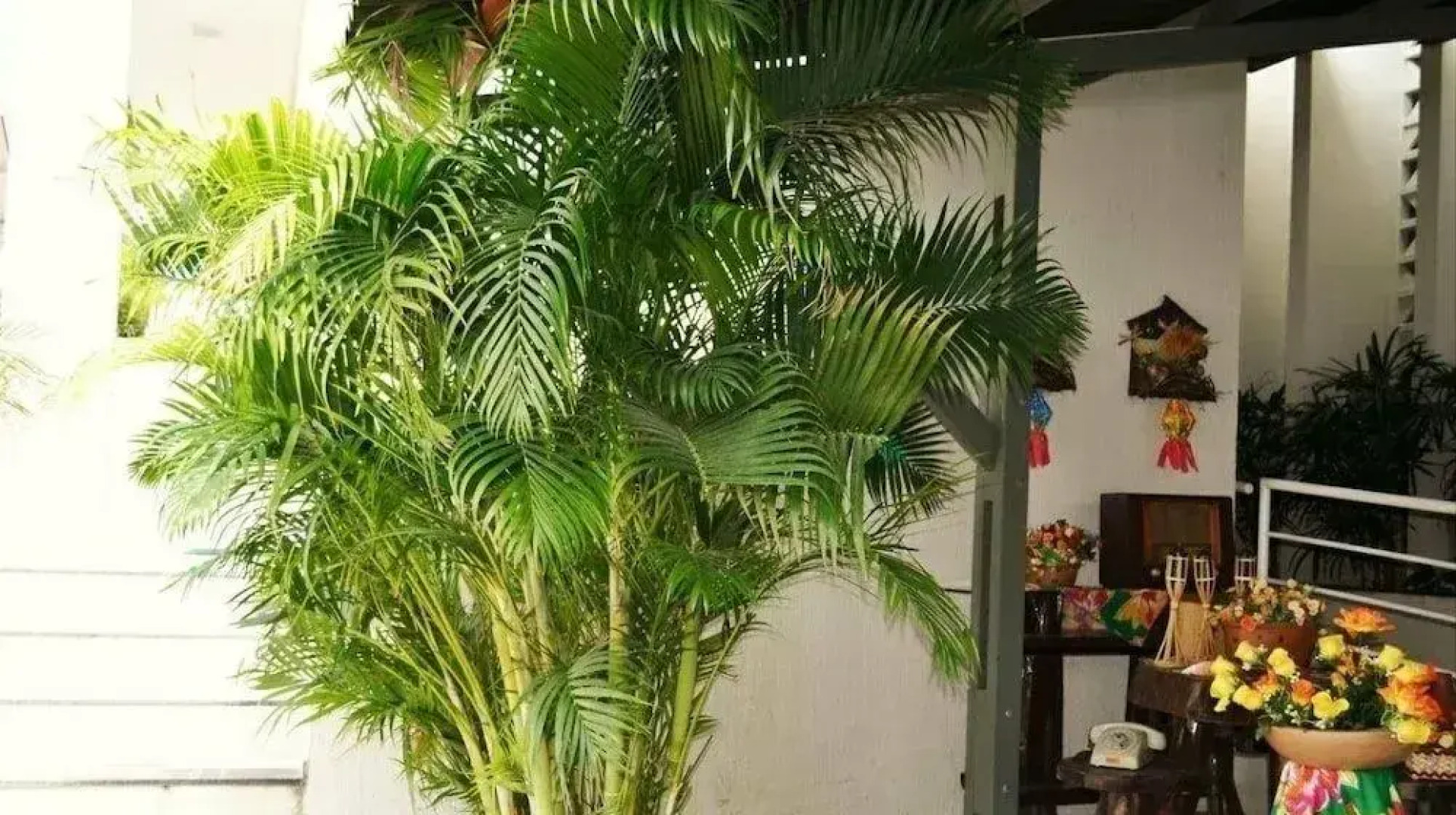 Pousada Varandas do Penedo