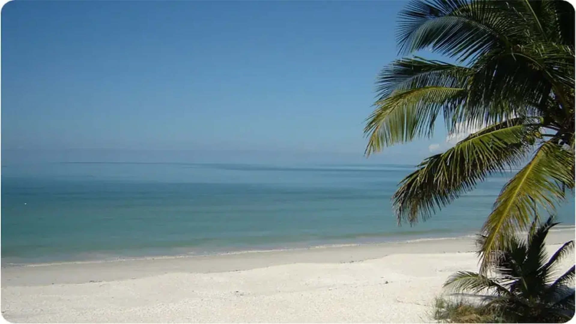 Estero Private Pool Home