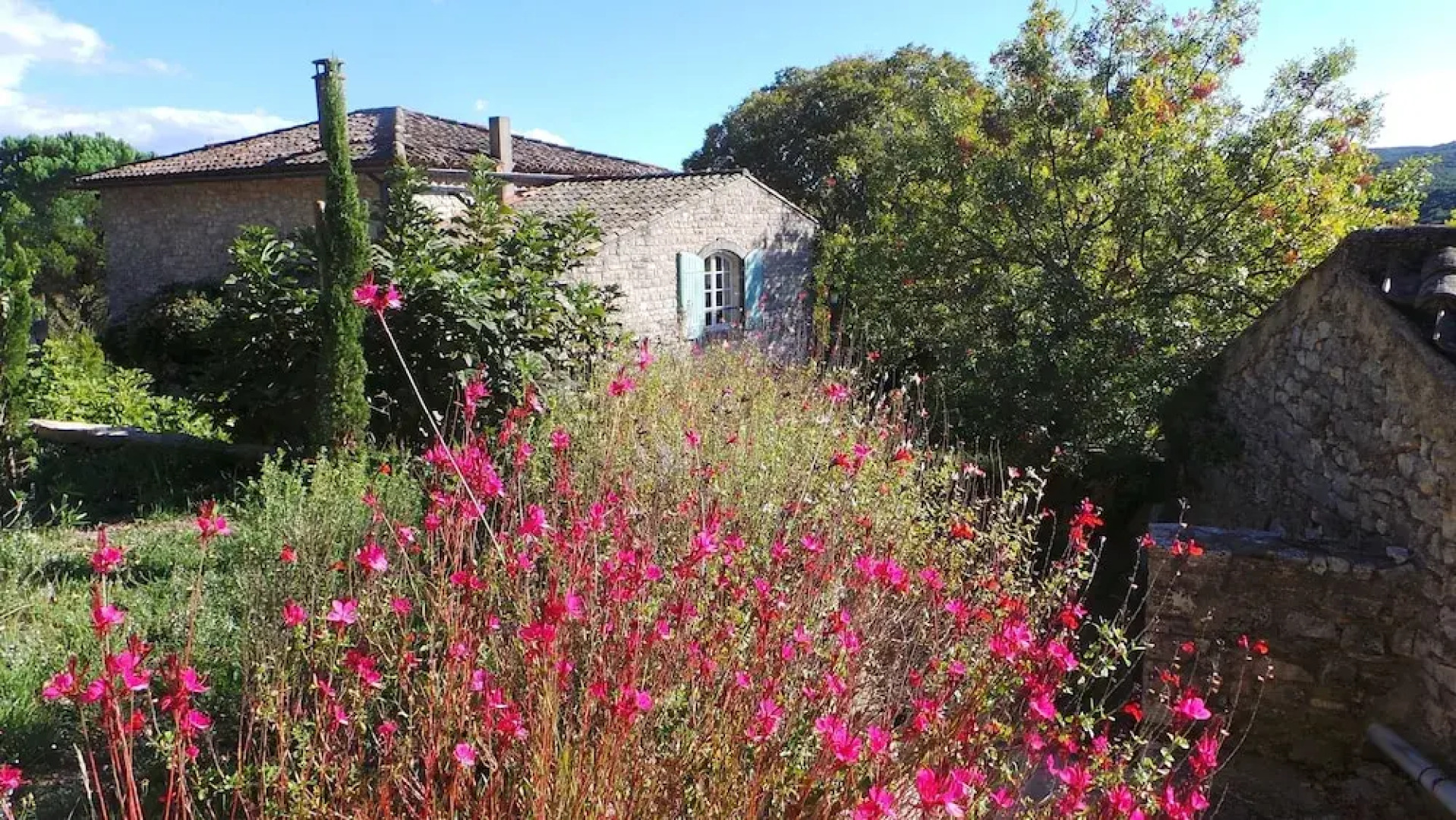 The Lotus Tree Guesthouse