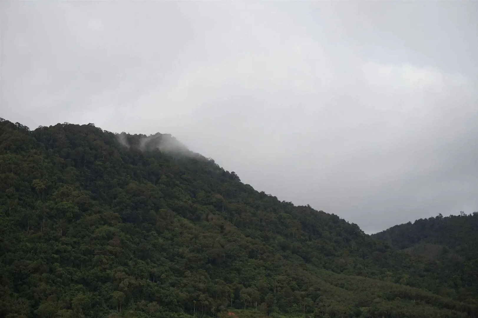 Kamala Beach Residence