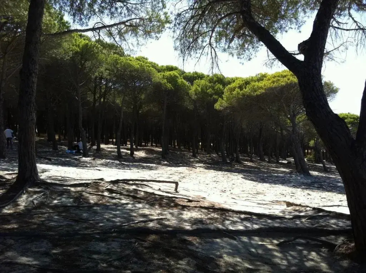 Case Vacanze Budoni Beach