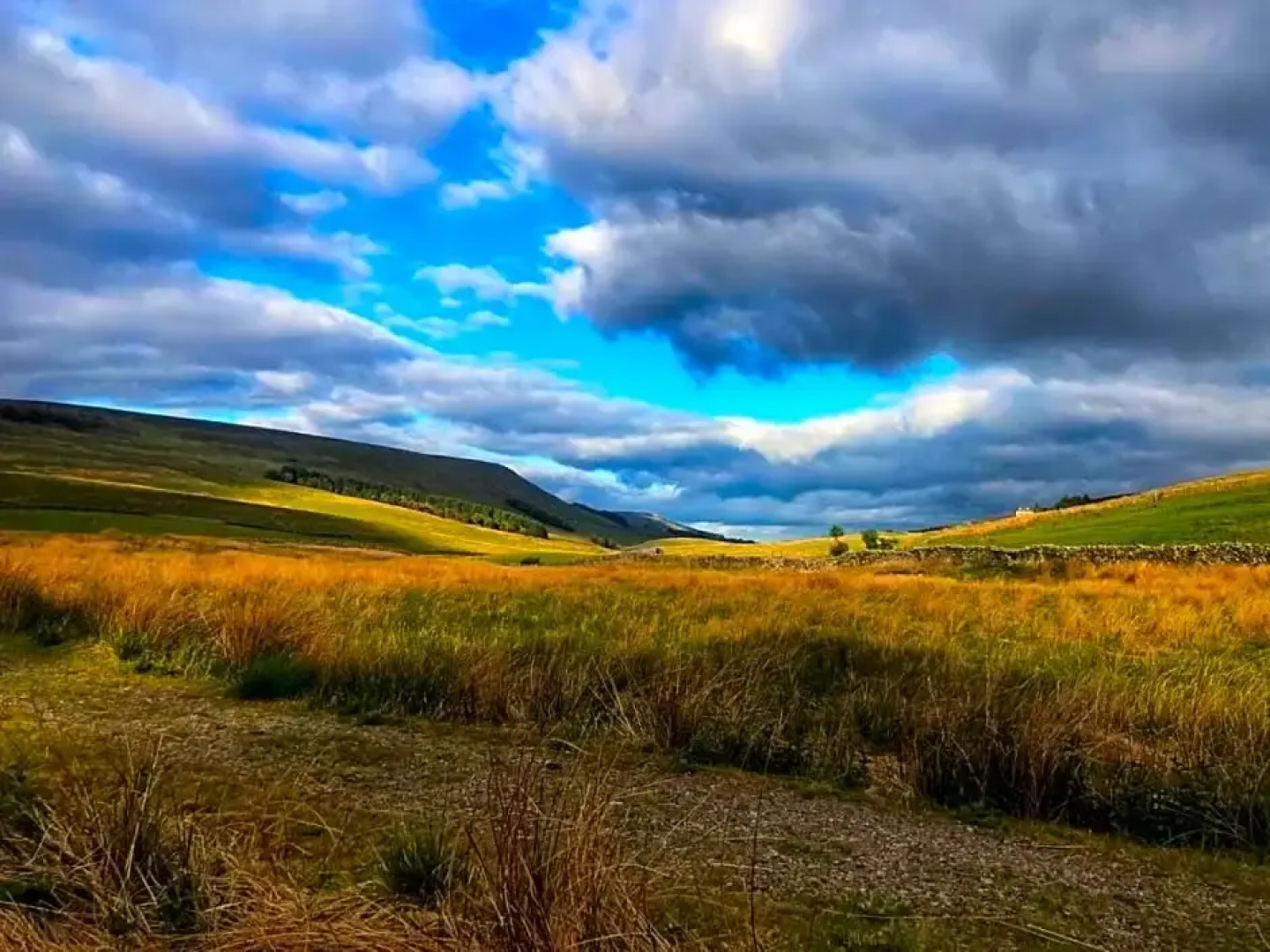 The Garsdale Bed & Breakfast - Goats and Oats at Garsdale