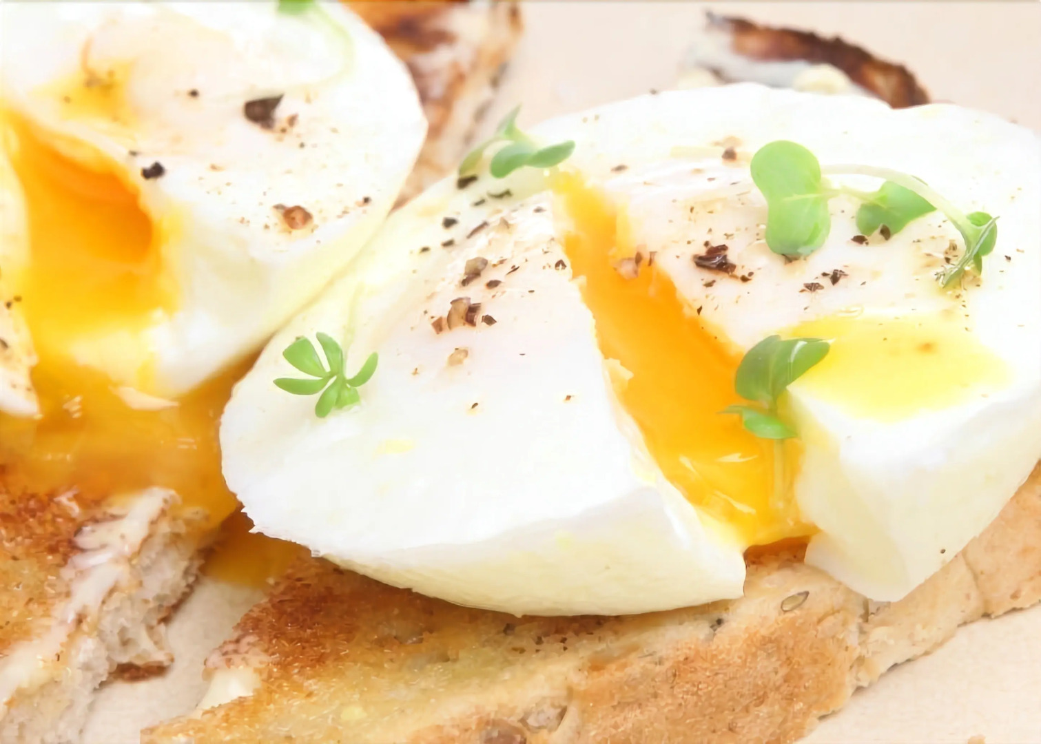 Abbots Lee - Adults Only