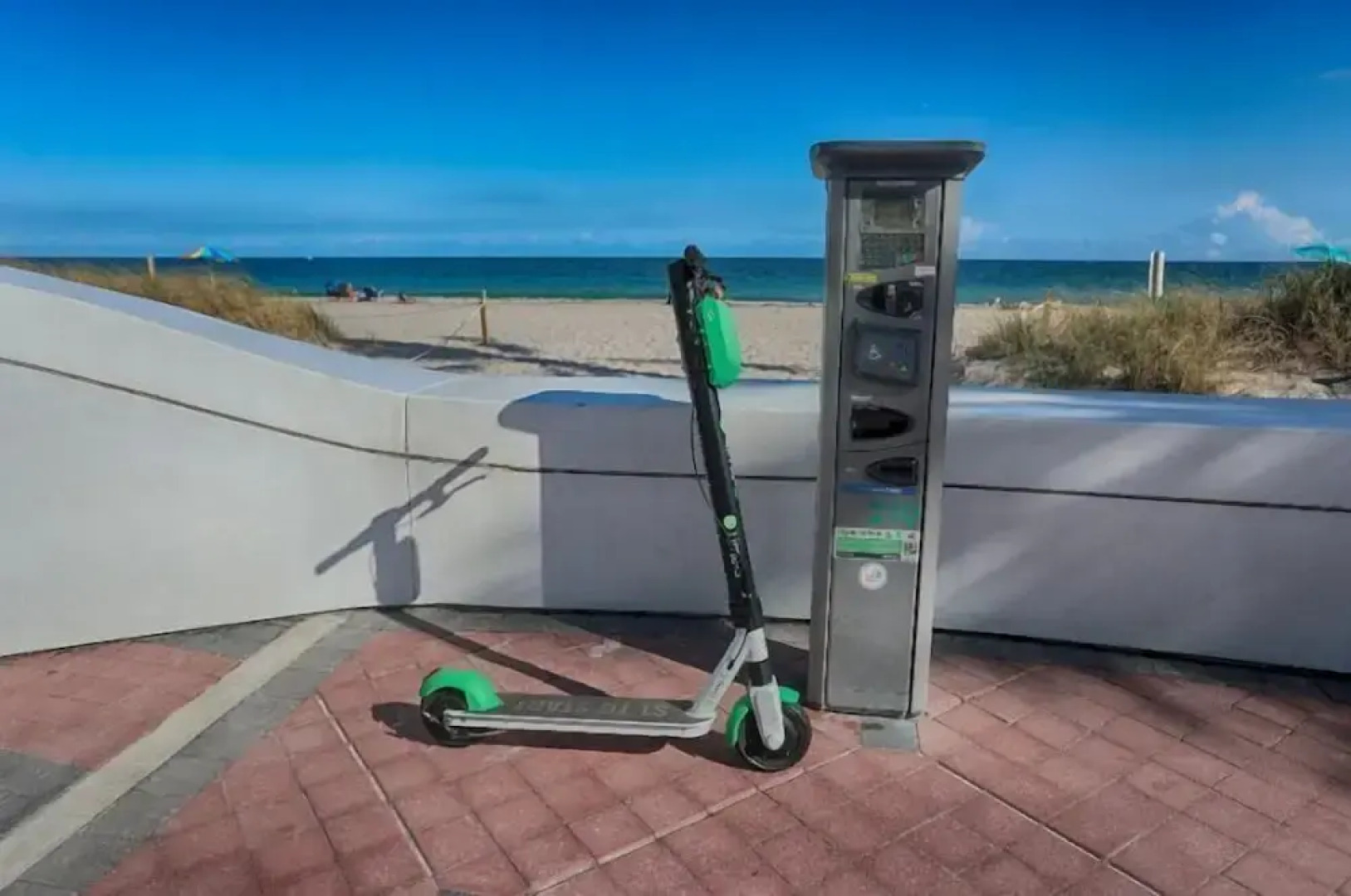 Wilton Way Orchid House