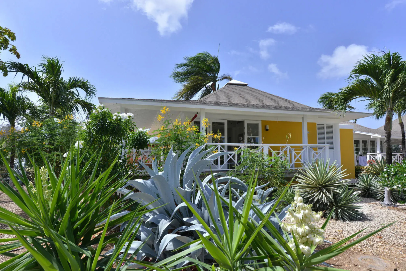 Chogogo Dive & Beach Resort Curacao