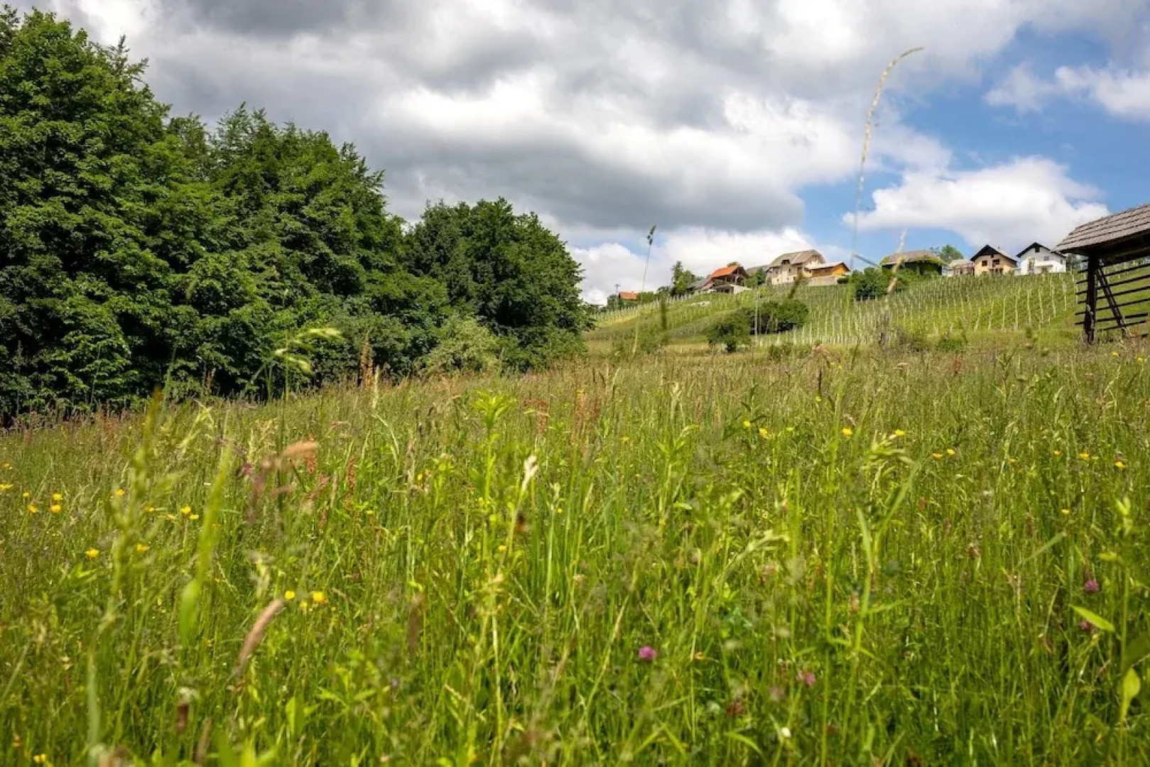 Apartment at the Vesel Homestead, Local Experience
