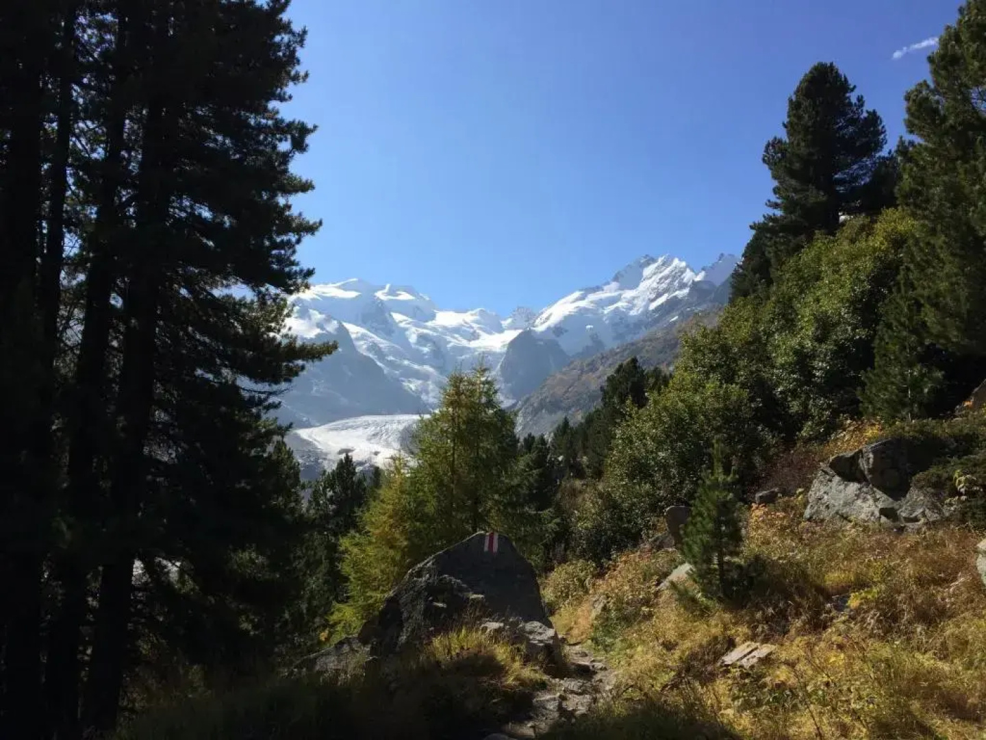 Hotel Bernina Pontresina
