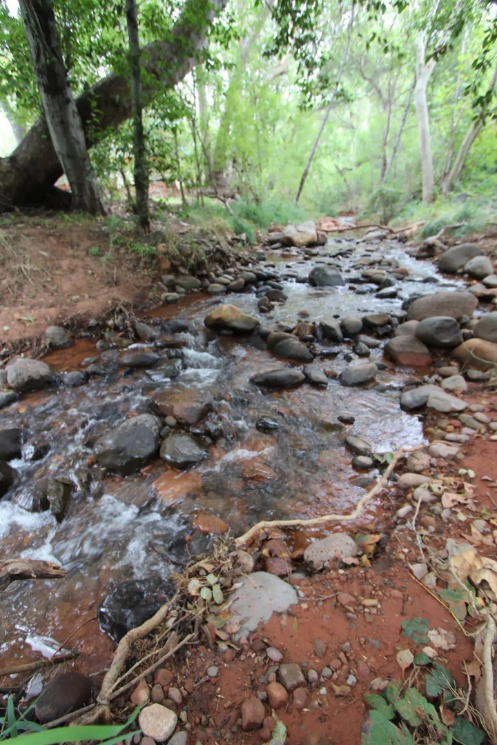 Villas at Poco Diablo by VRI Resort