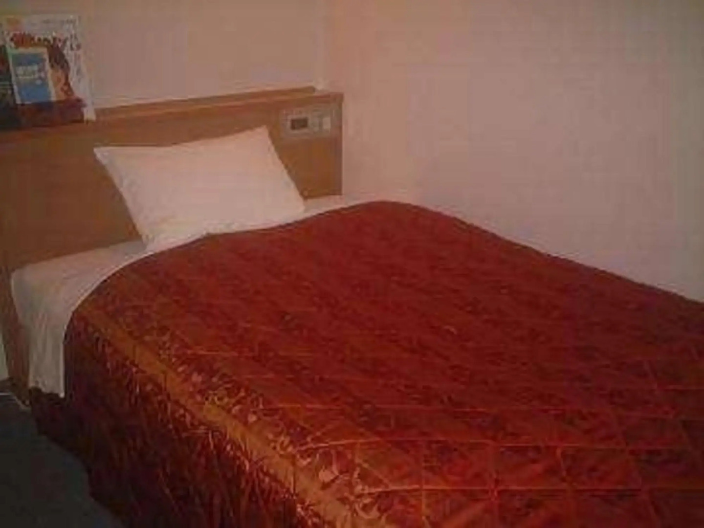 Business Hotel Shinbashi