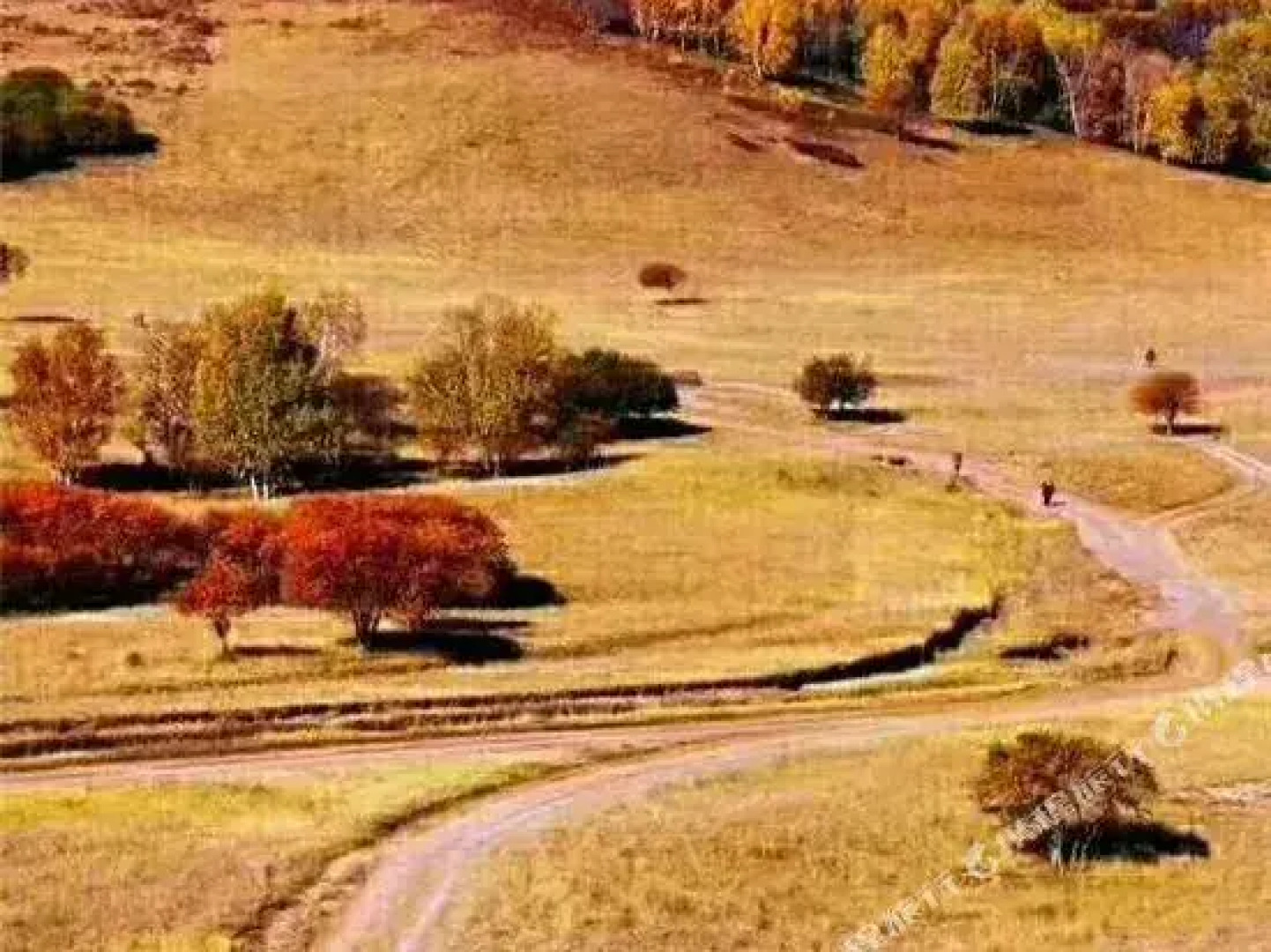 Xi Lin Nai Er Resort