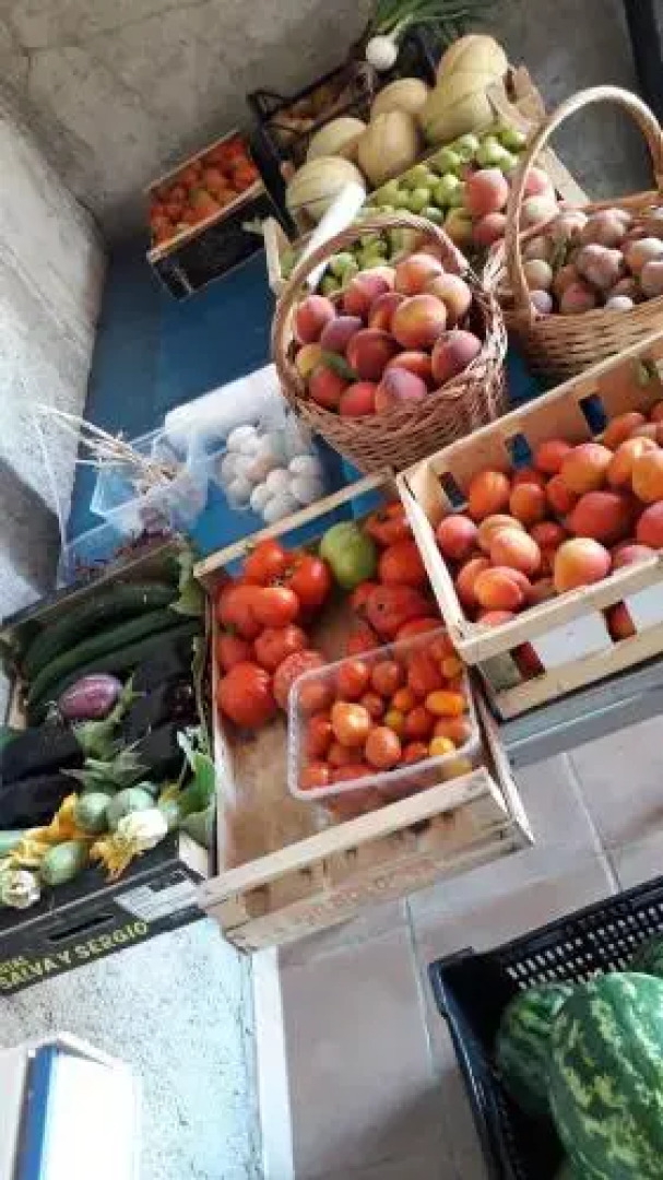 Agriturismo il Tripesce