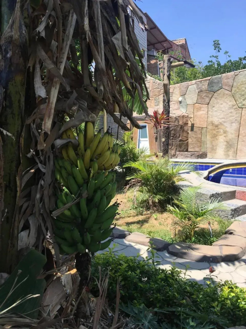 Hostal Jardín Escondido