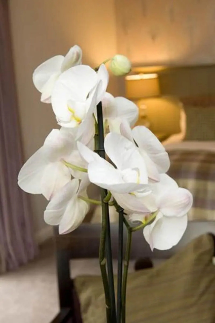 Sandown House B&B