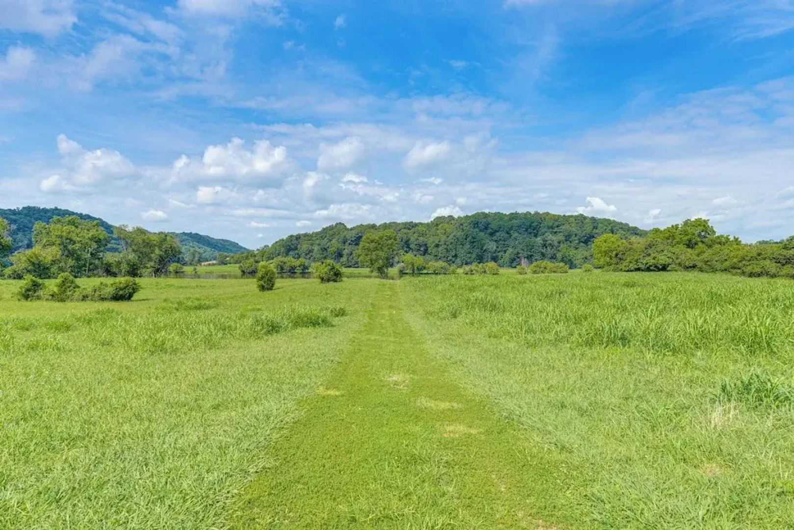 Rogersville Barn Apartment on 27 Acres w/ Pond!