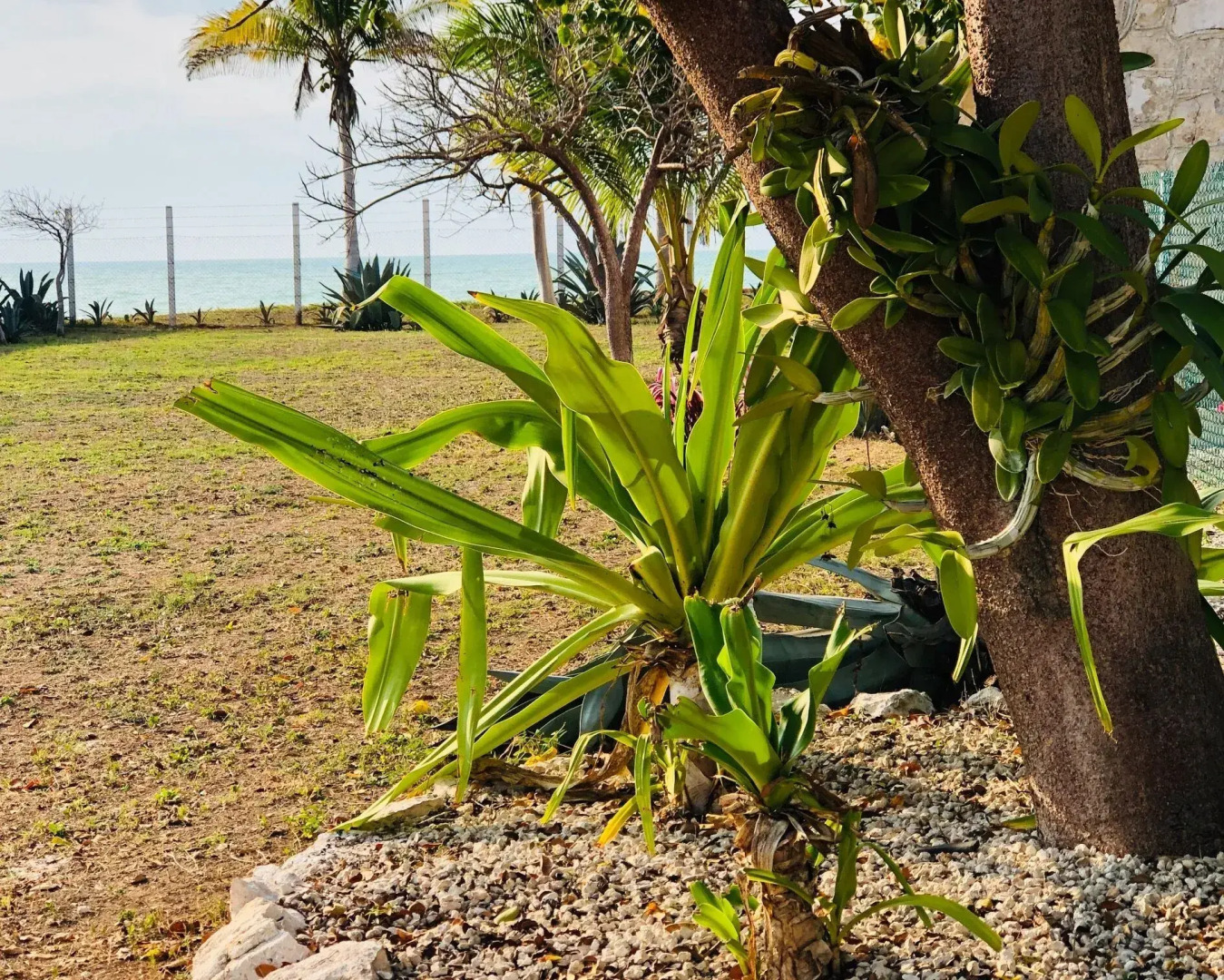 Casa BreMar 3097 - Only Adults