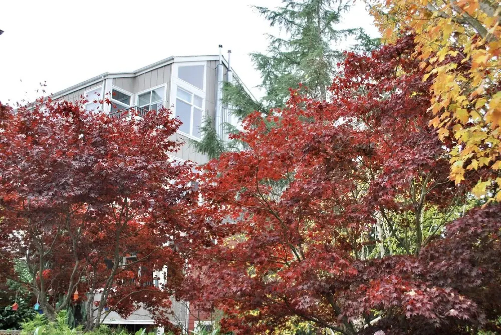 Well Appointed and Modern plus Parking