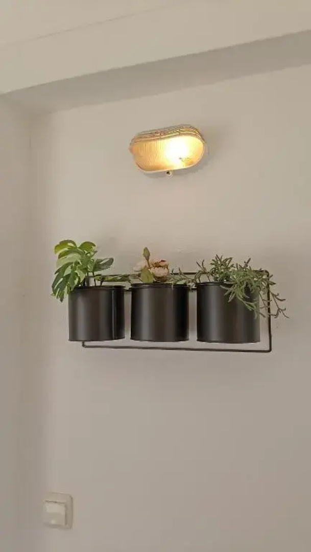 Vi Home