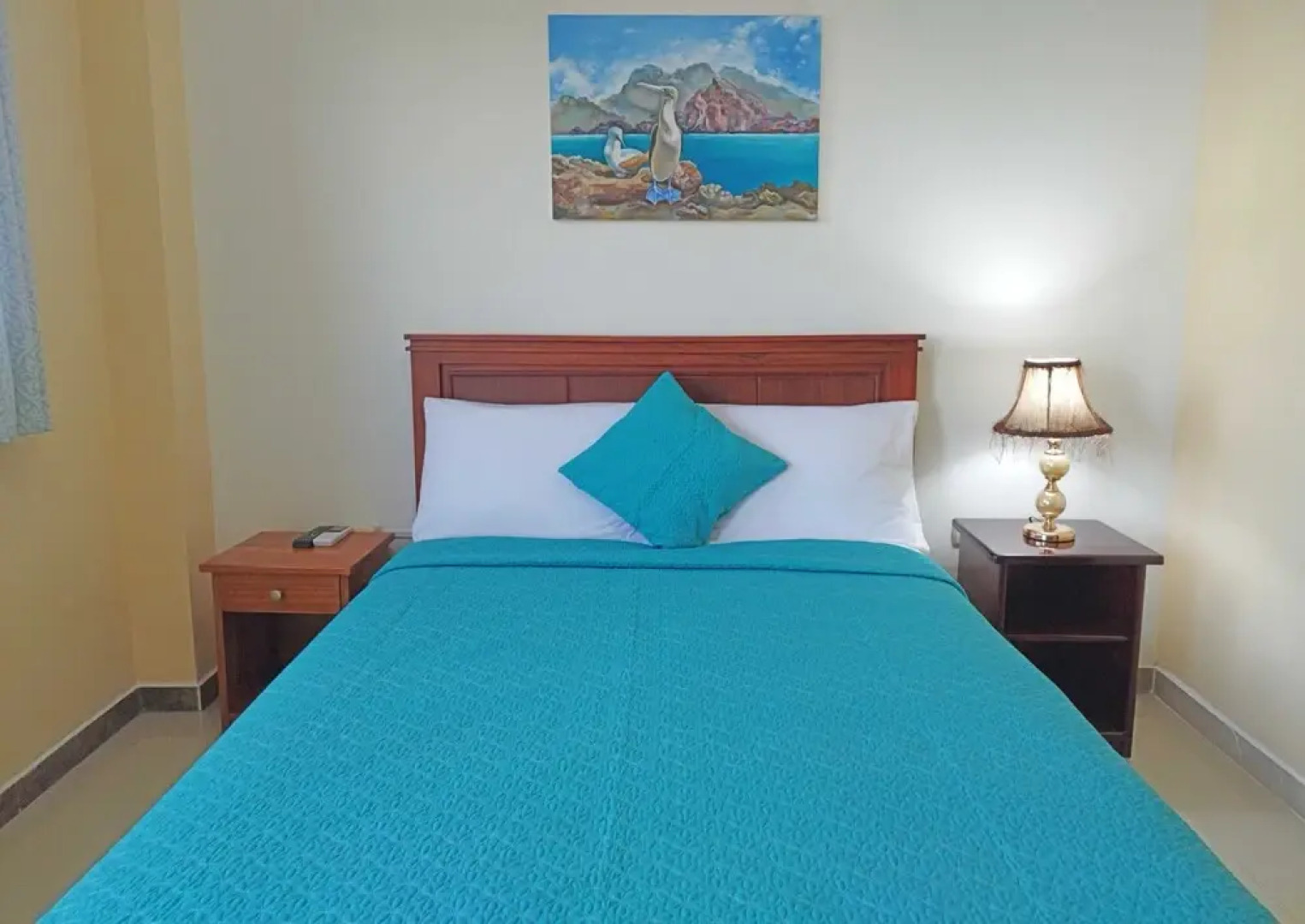 Ocean Dreams Galapagos