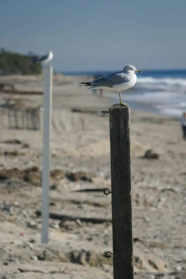 Holiday Inn Express & Suites Carpinteria by IHG