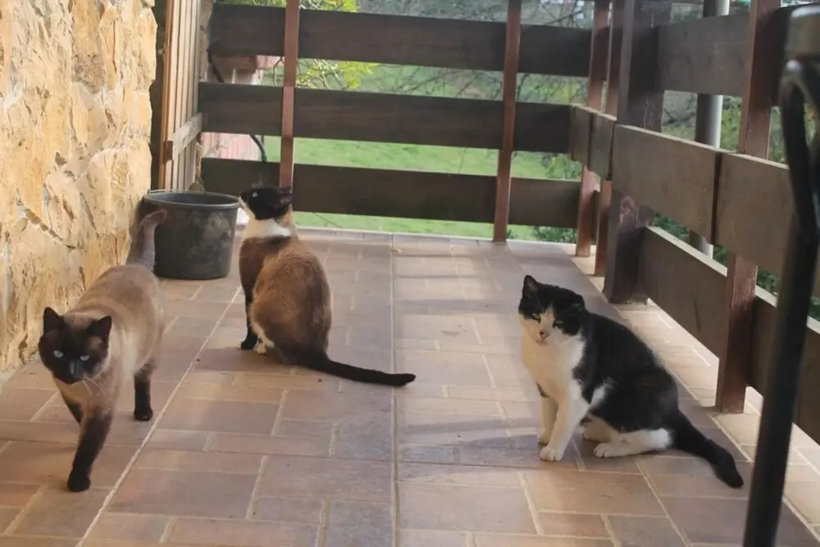 House With one Bedroom in Romillo, With Wonderful Mountain View, Furni