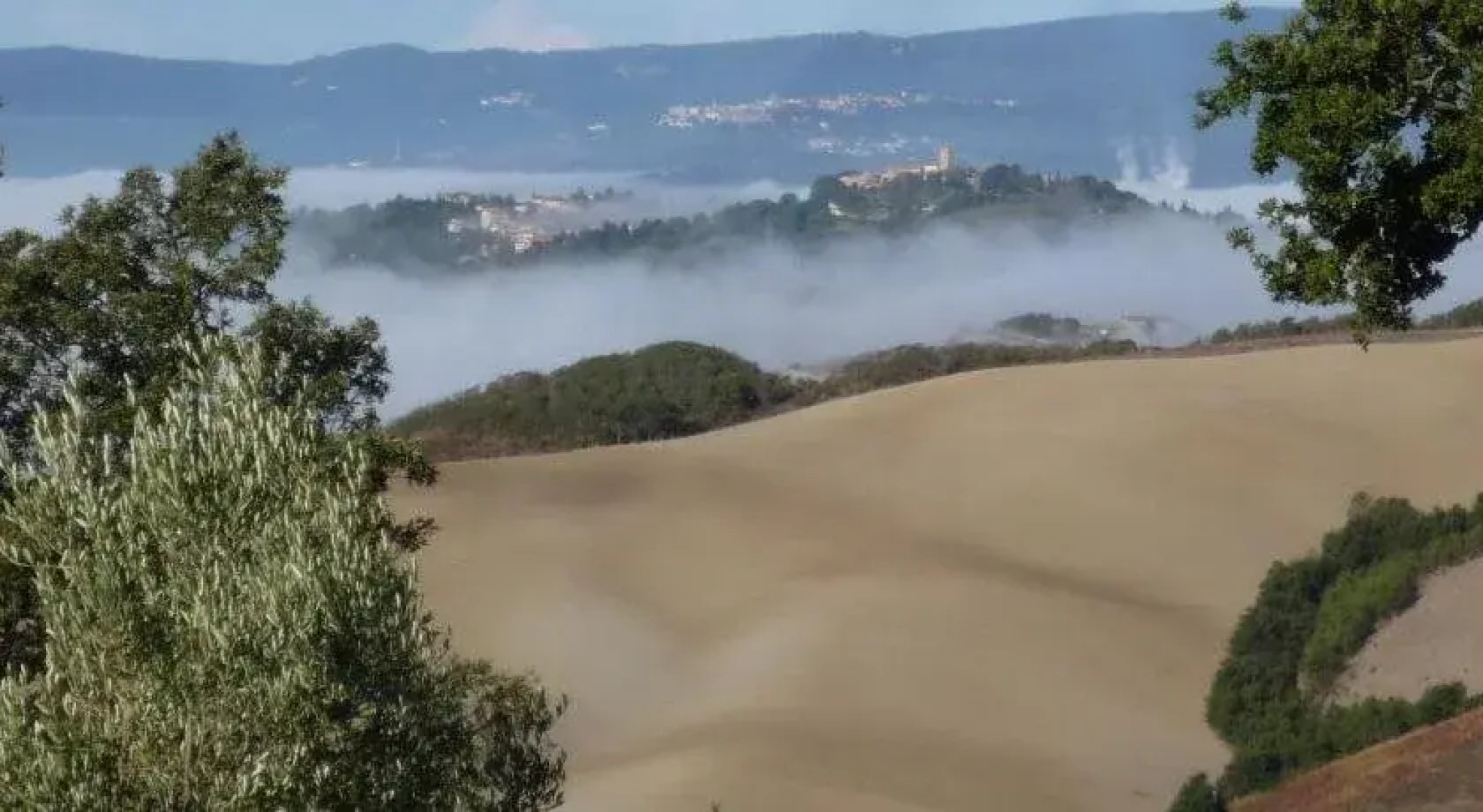 Il Podere Degli Artisti