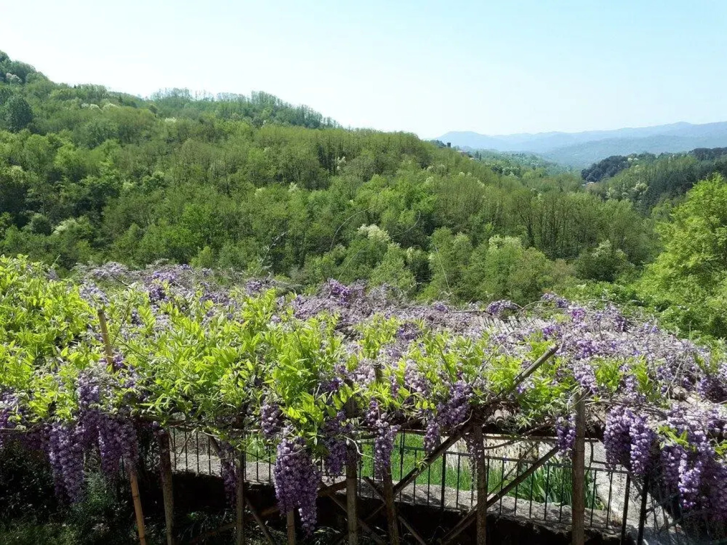 B&B Poggio delle Rondini