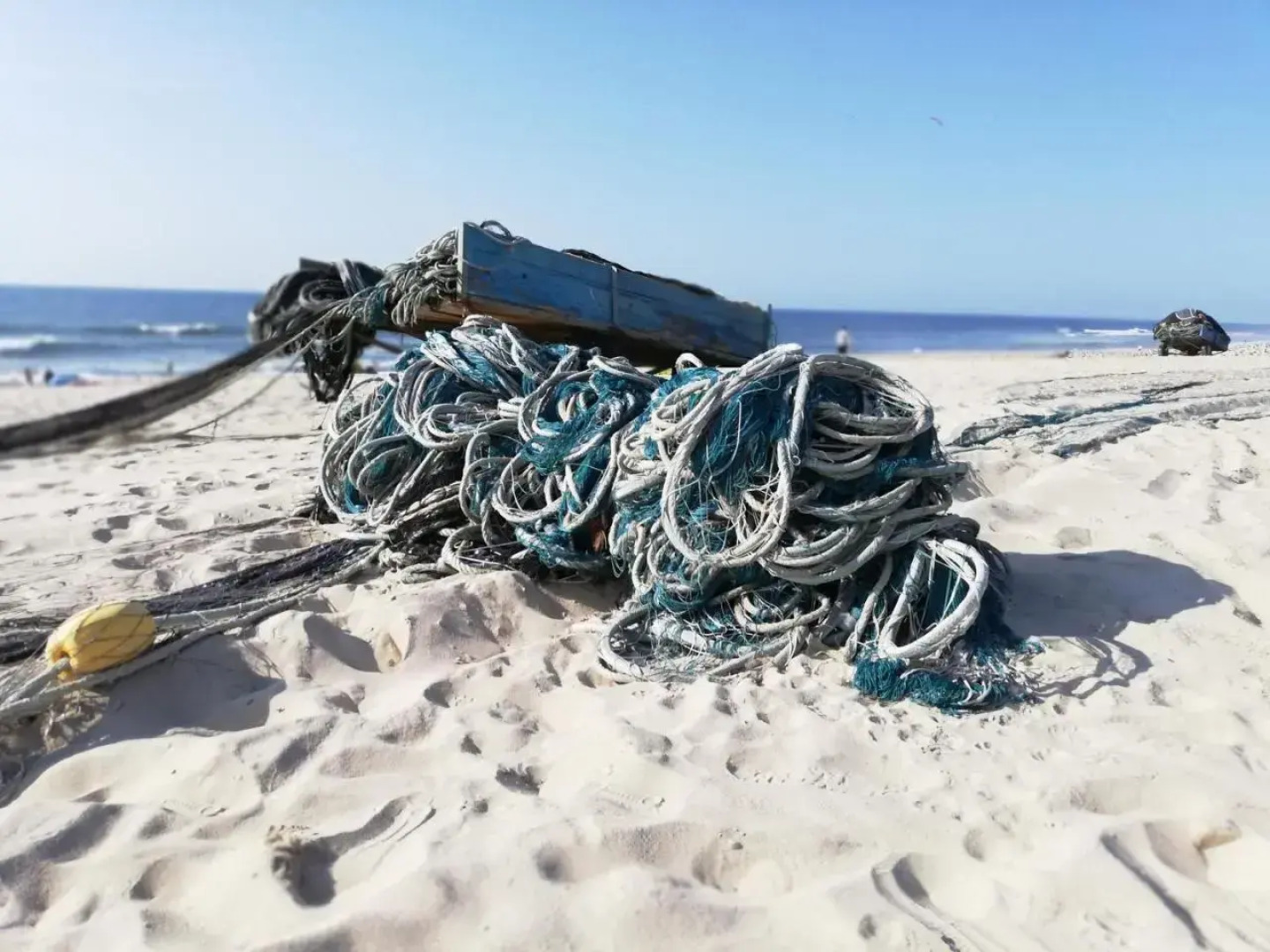 O VIOLAS — Tapas & Bed