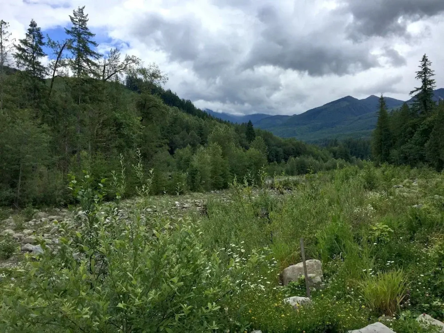 Mt. Baker Lodging Cabin 22 – WiFi, Pets OK, Sleeps 8! by MBL