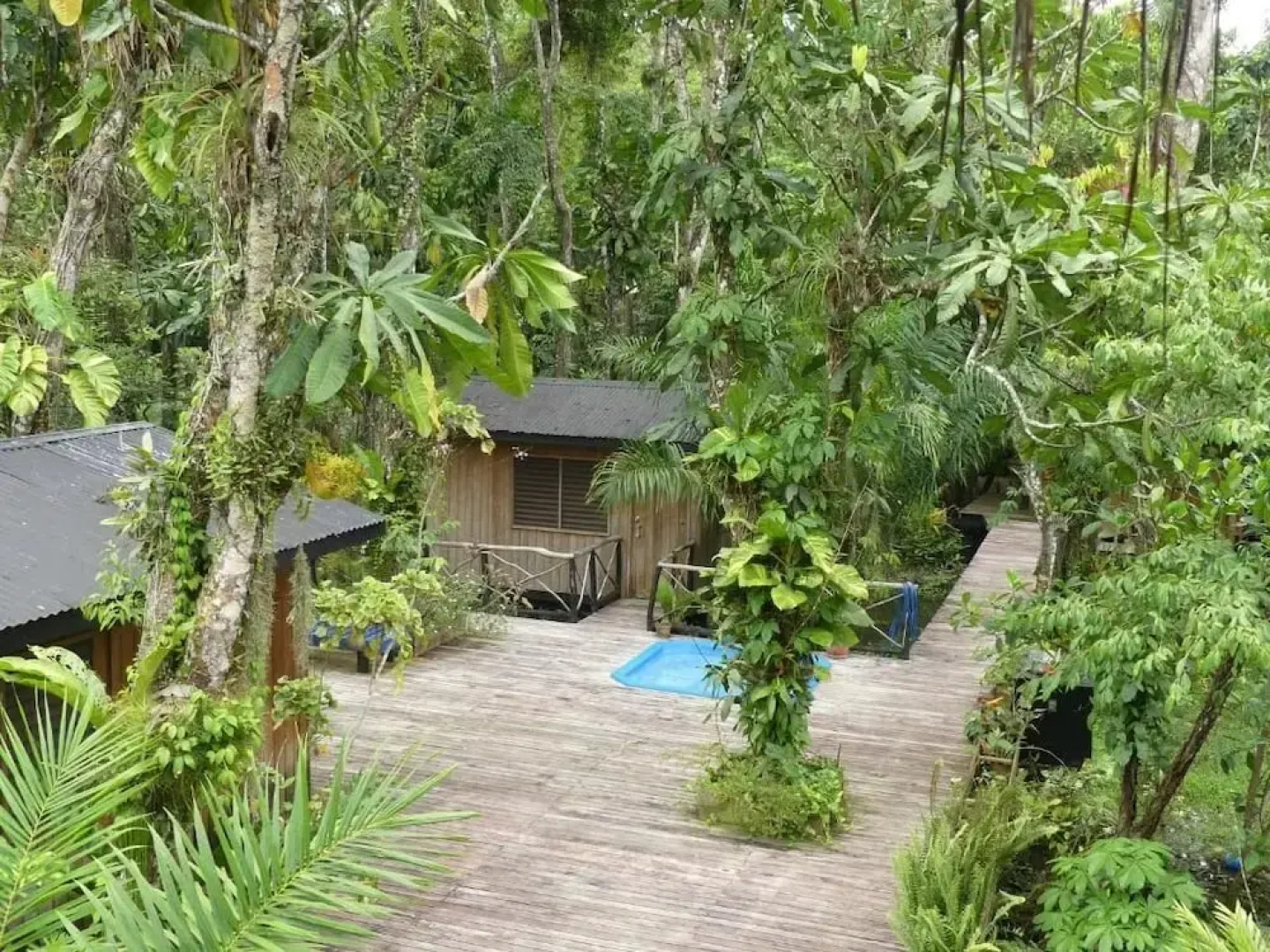 Hotel Kangaroo y Restaurante