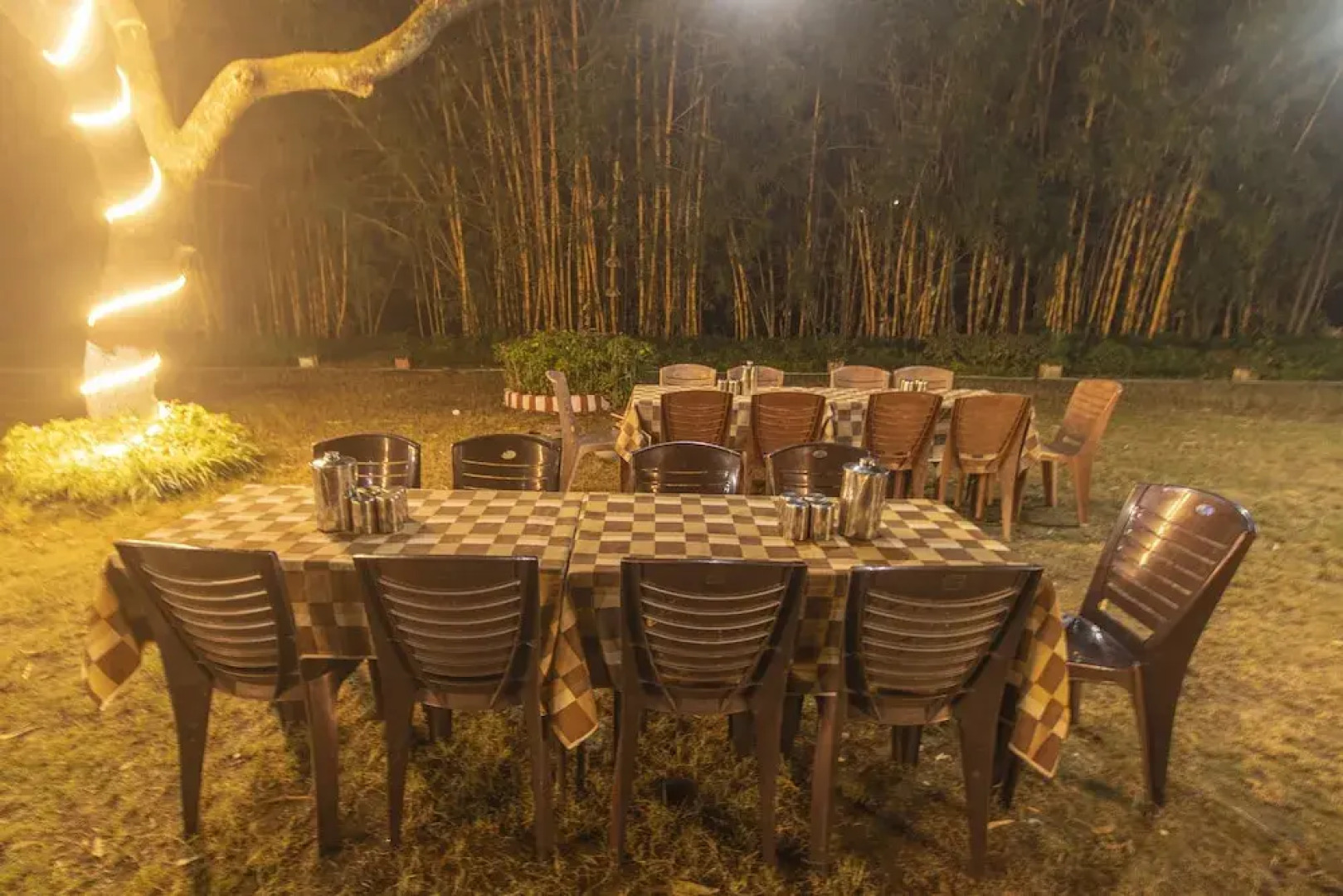 WOW STAYZ2 Misty Meadows