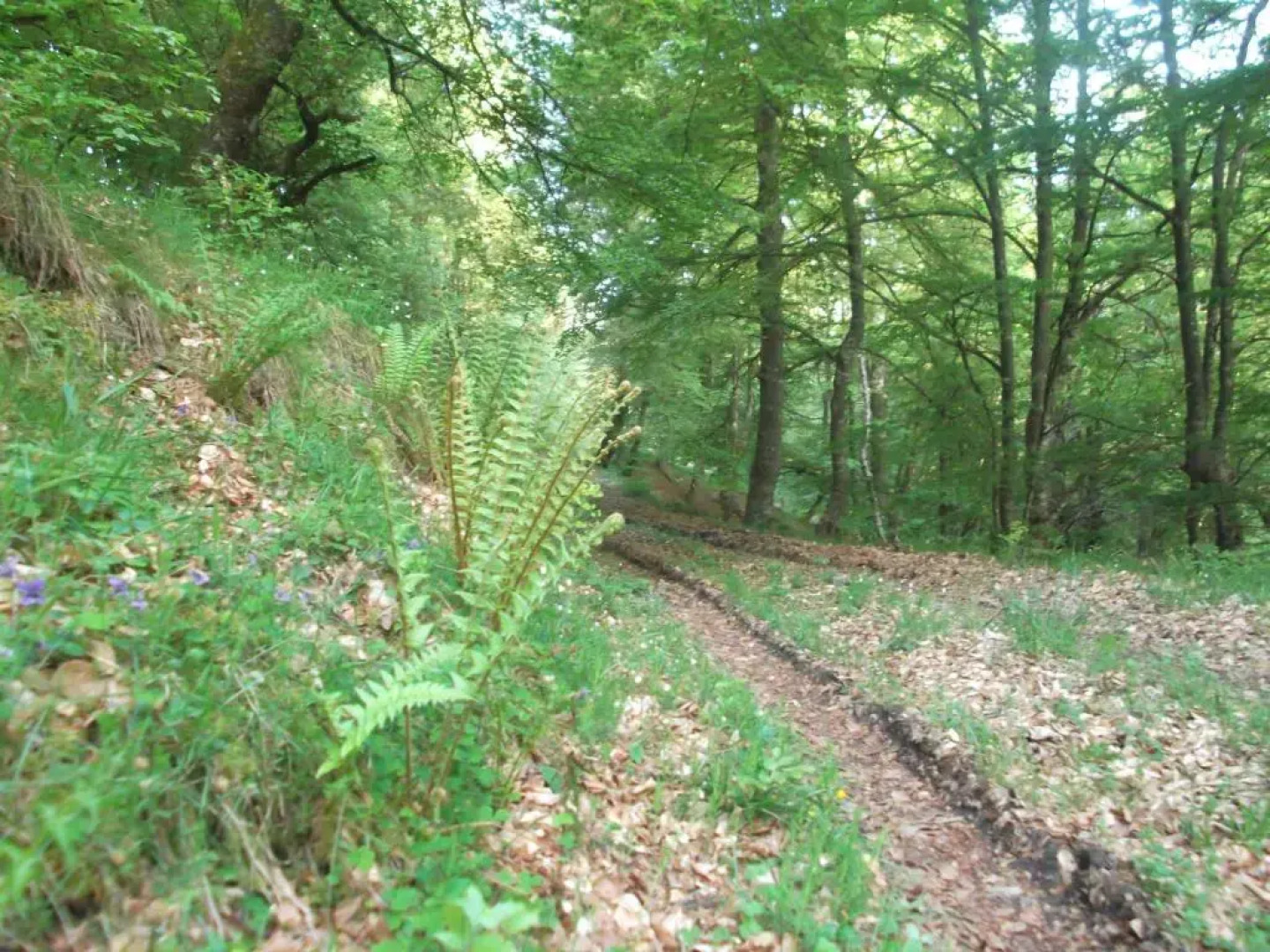 Apartamento San Mamés