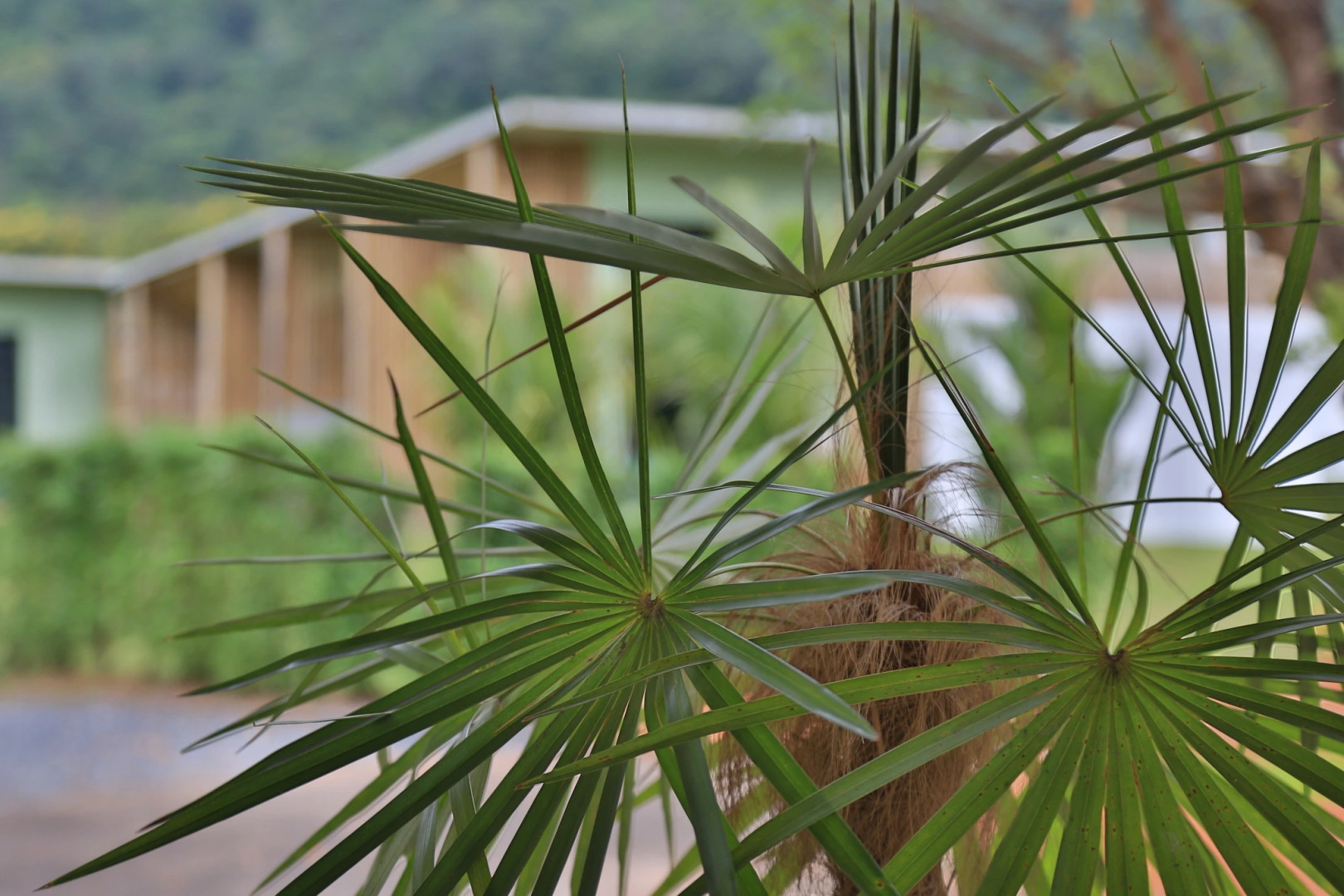 Curve360 Hotel Khao Yai