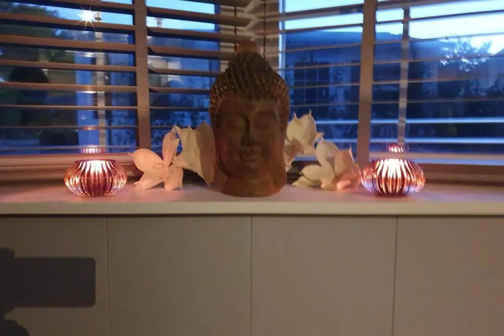 Vazonics Valkenbosch 76