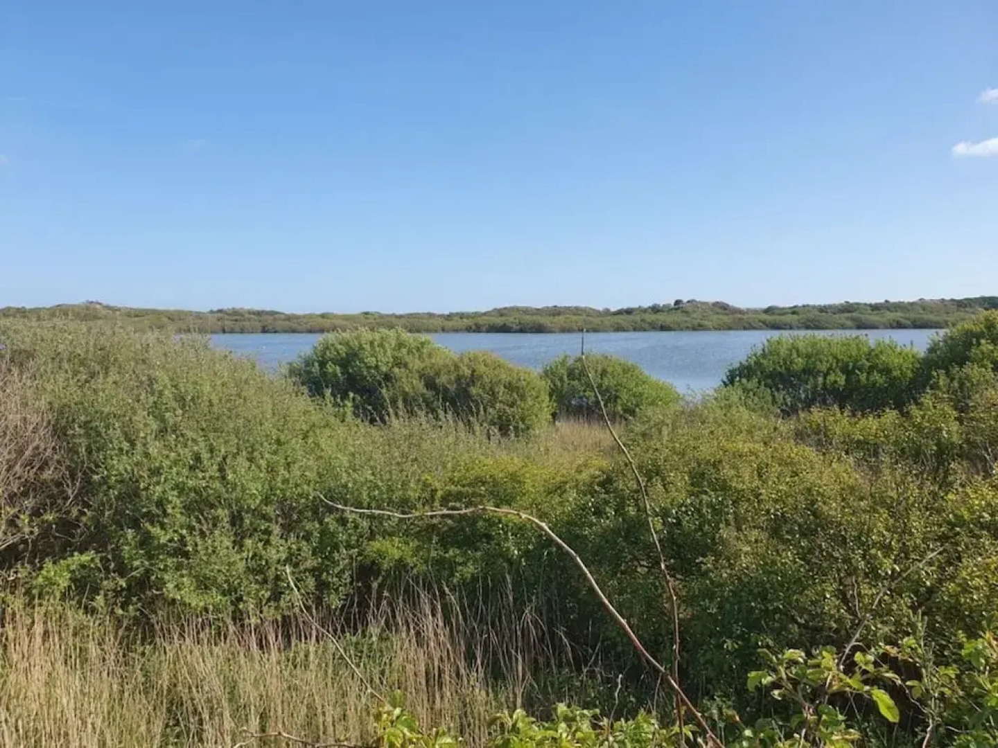 De Seekobb -beachgoers