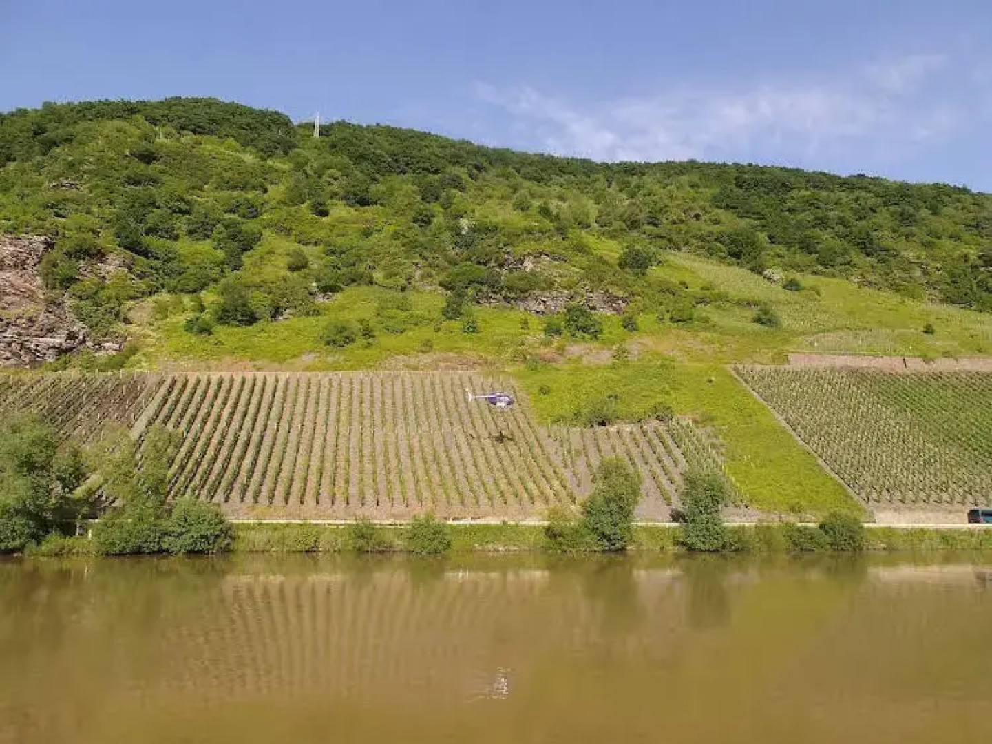 Weingut-Gästehaus Karl Otto Nalbach